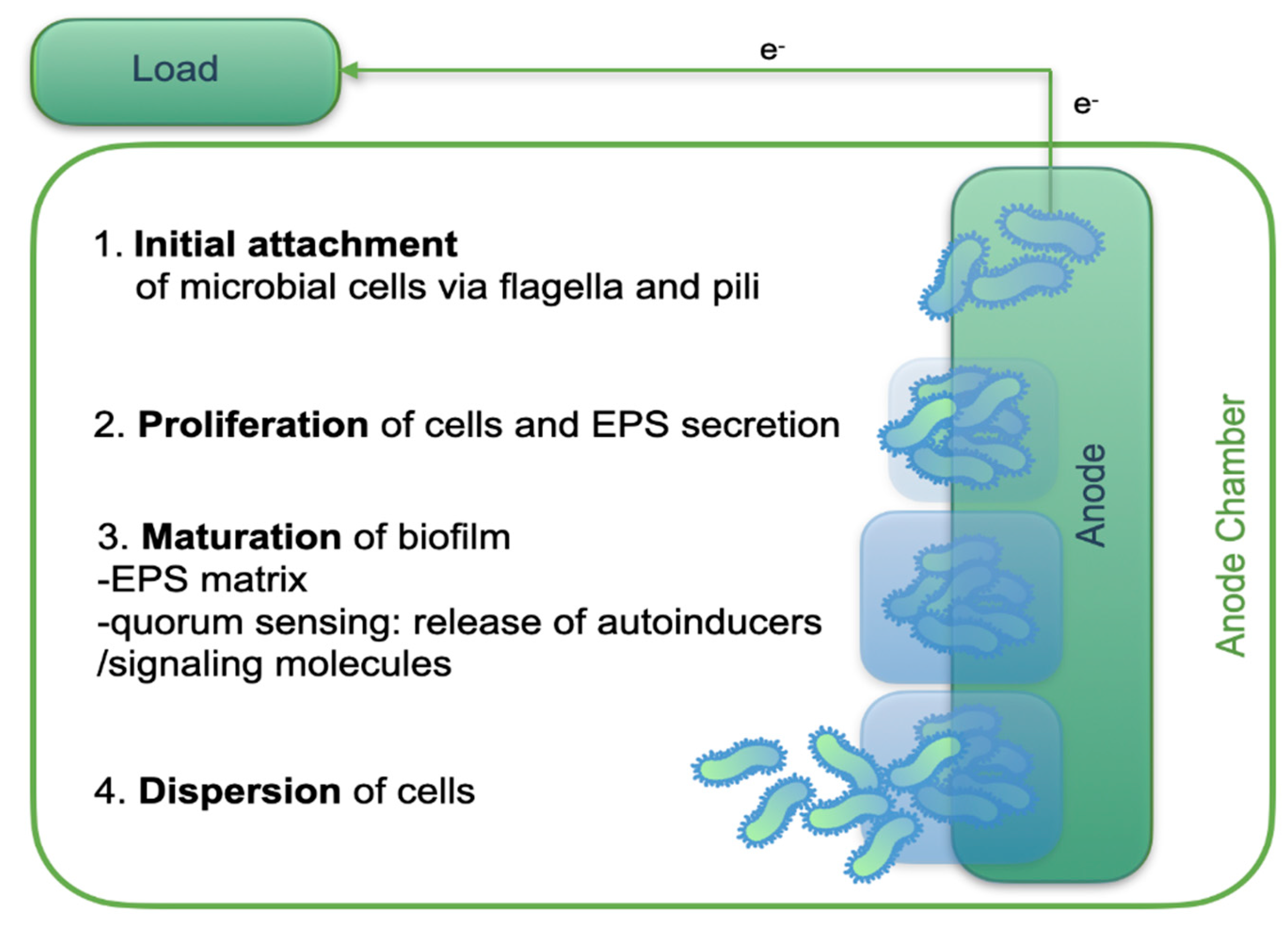 Preprints 181132 g004