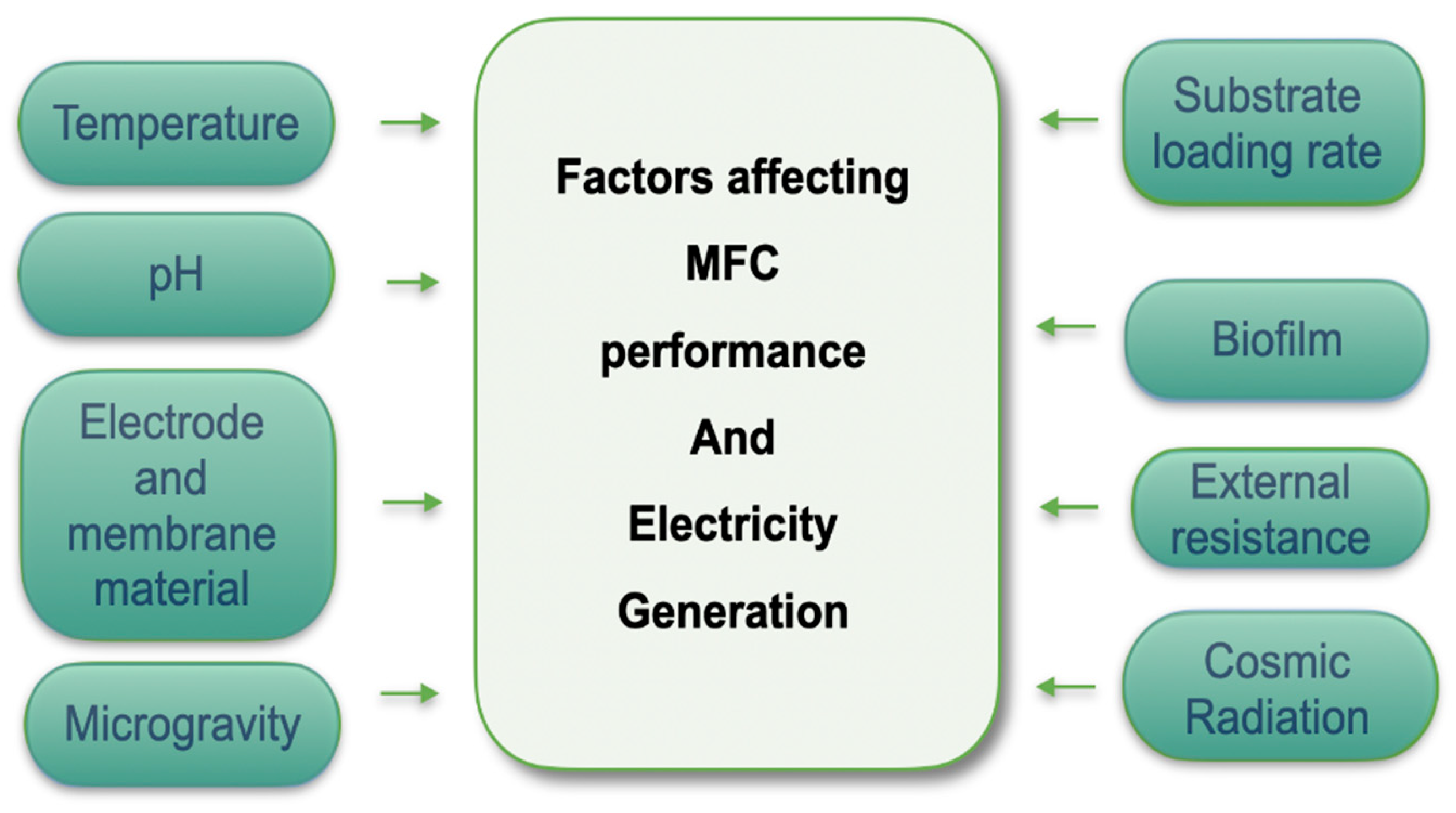 Preprints 181132 g005