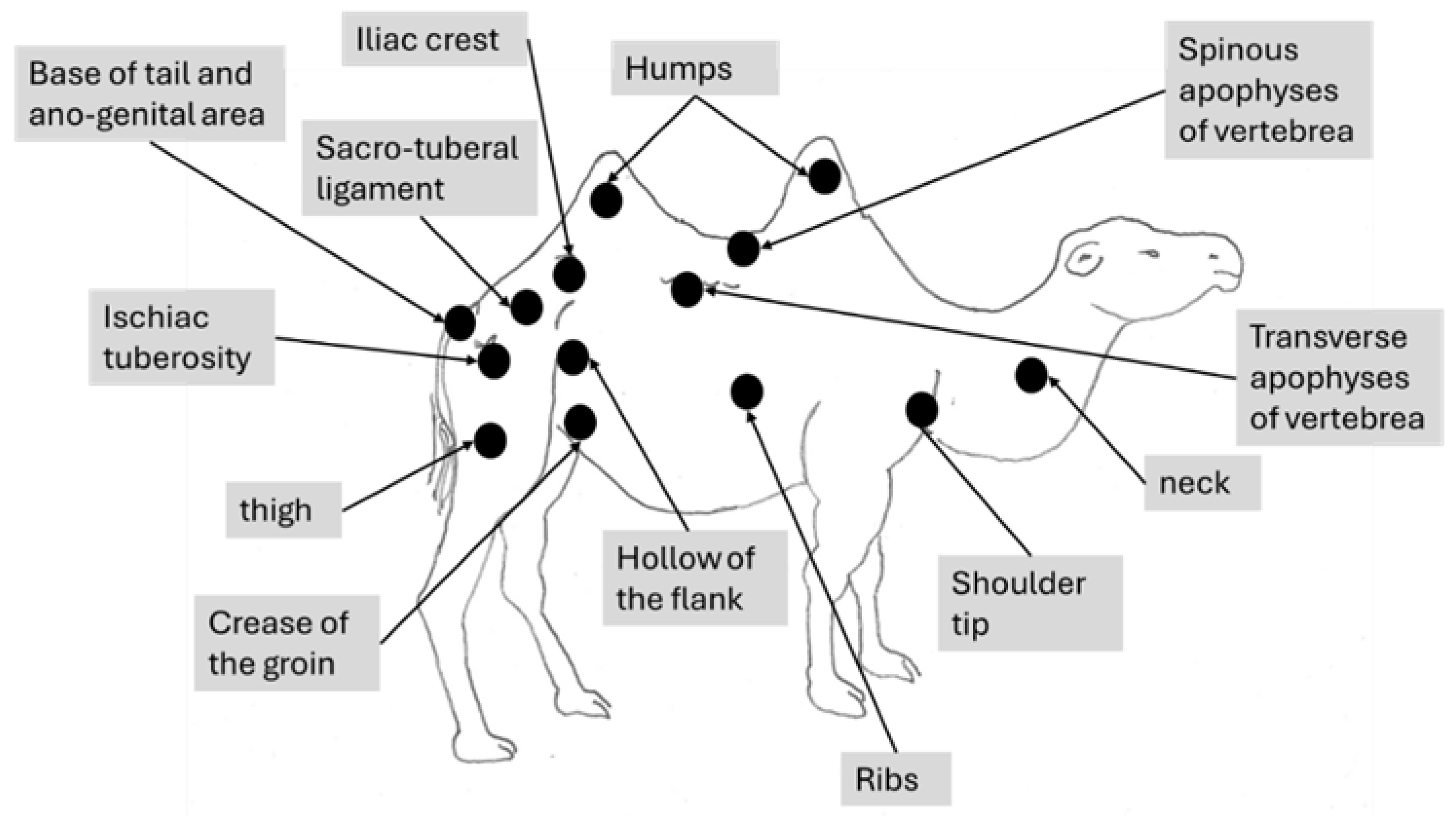 Preprints 178987 g001