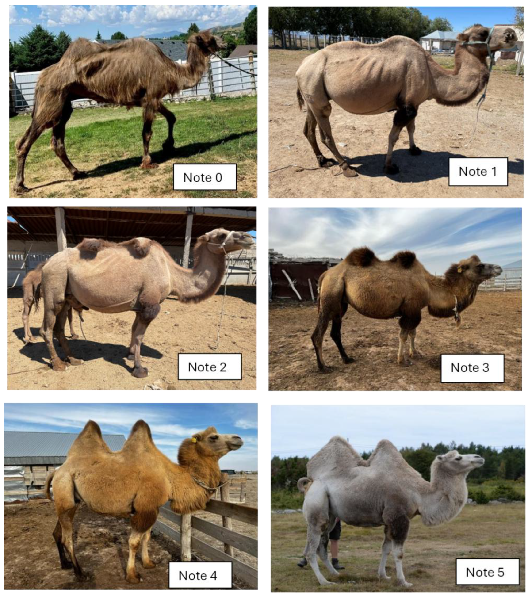 Preprints 178987 g008