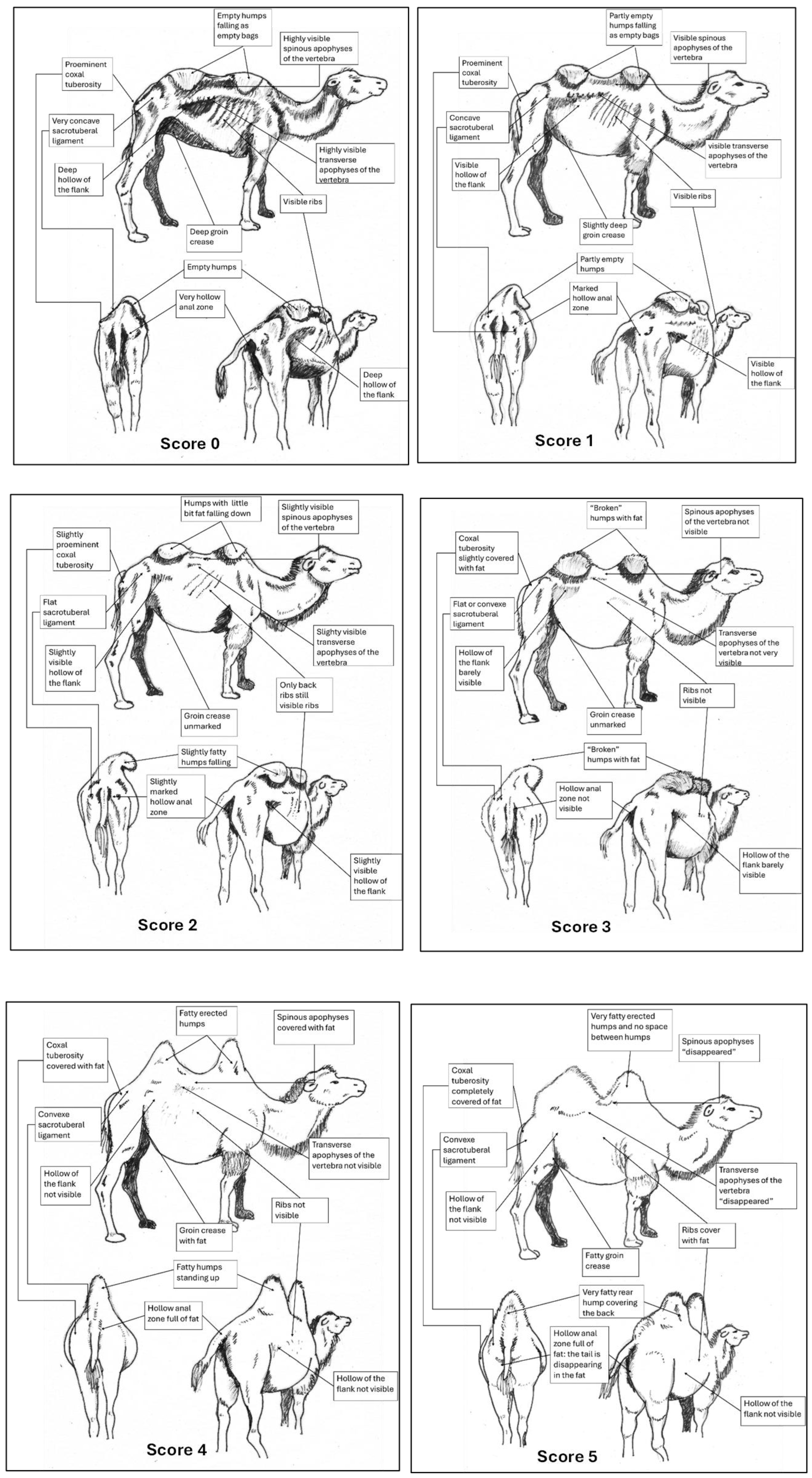 Preprints 178987 g009