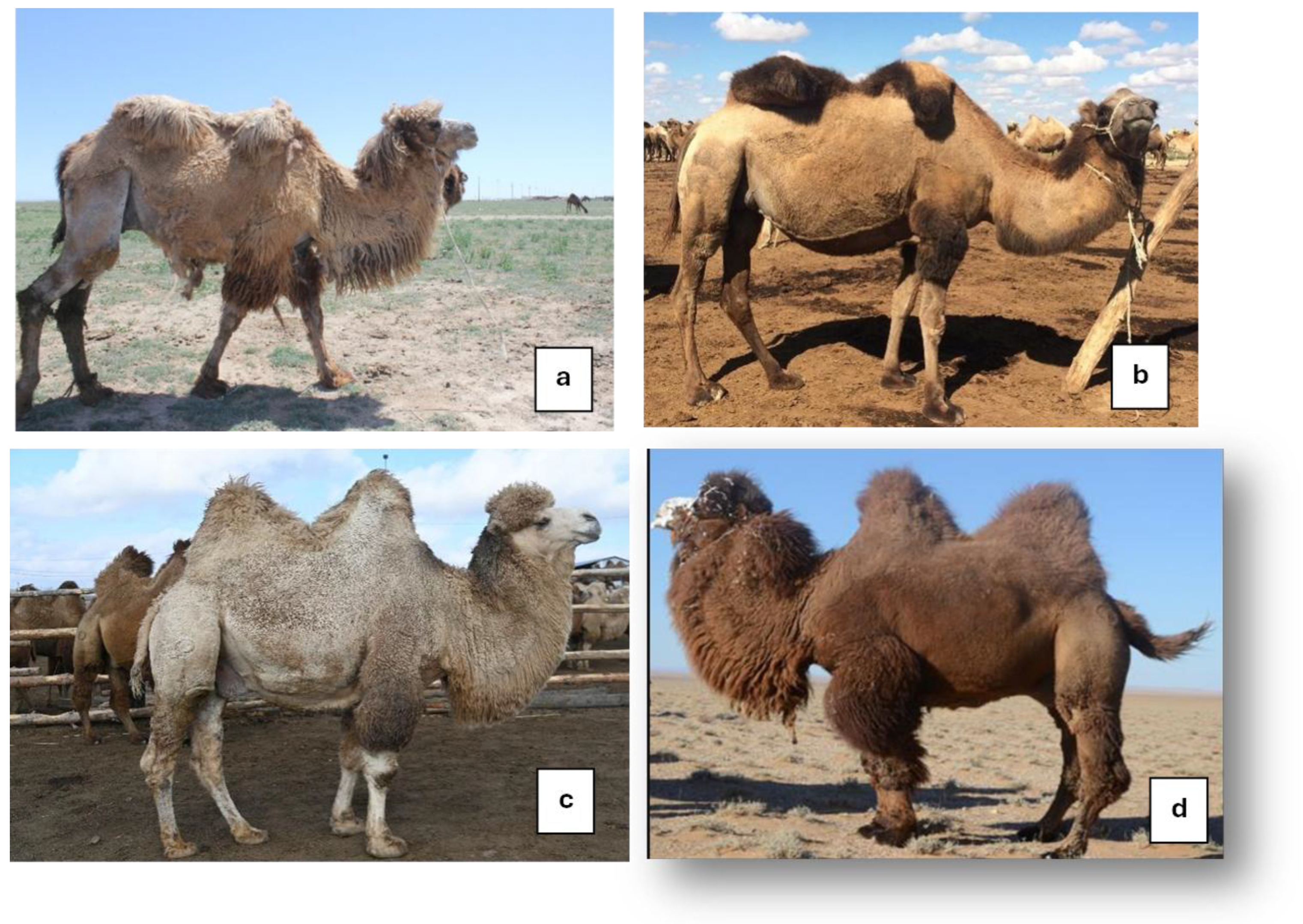 Preprints 178987 g010