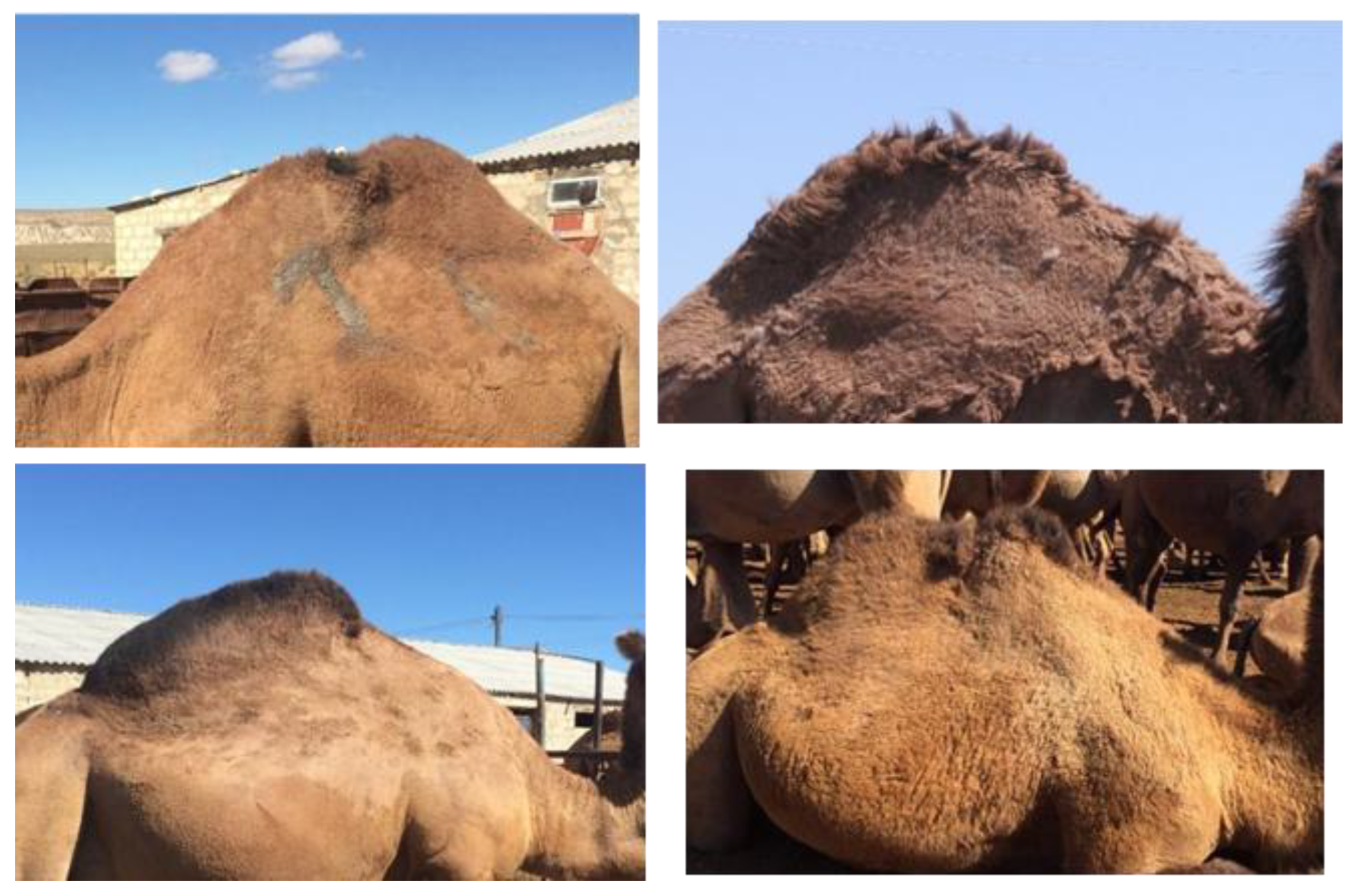 Preprints 178987 g011