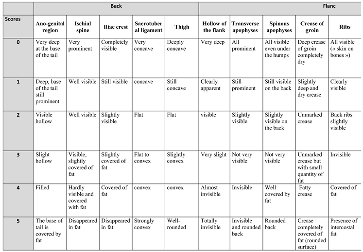 Preprints 178987 i013