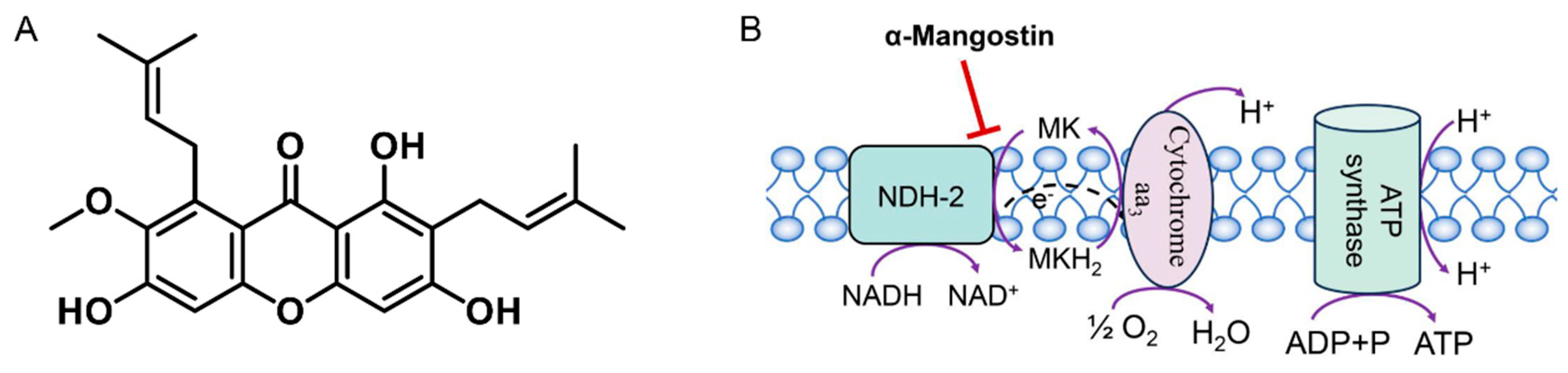 Preprints 192639 g001