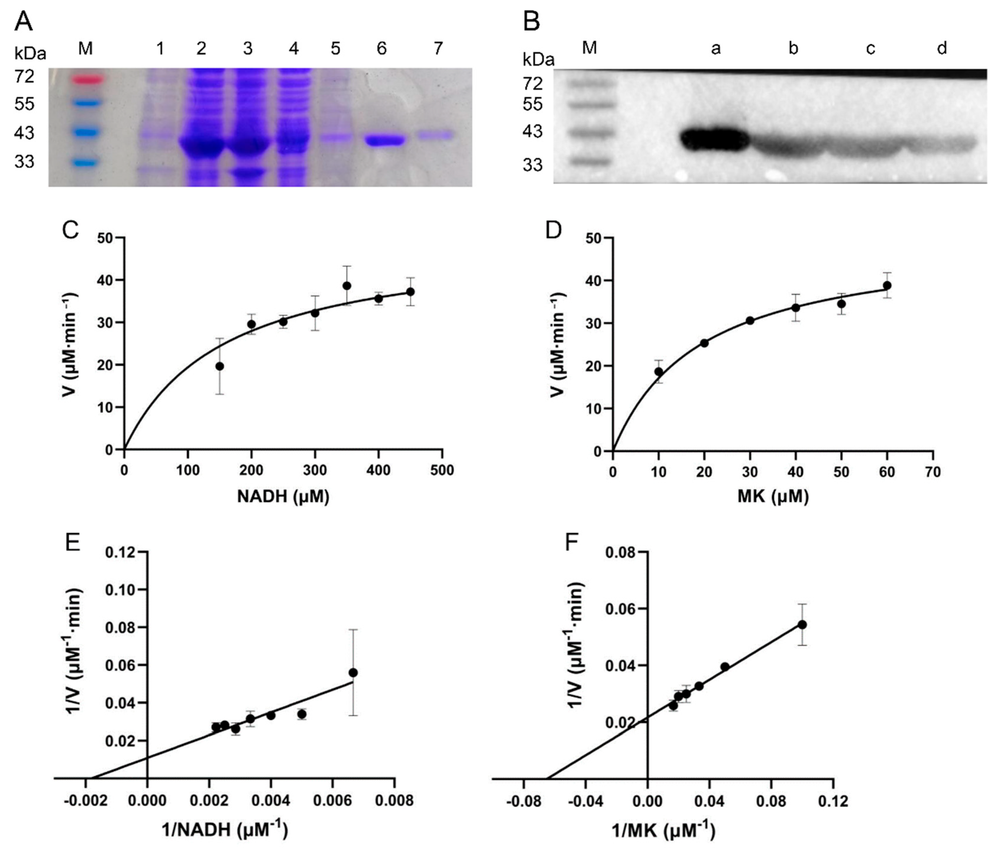 Preprints 192639 g002