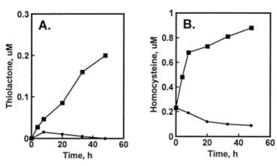 Preprints 142247 g002