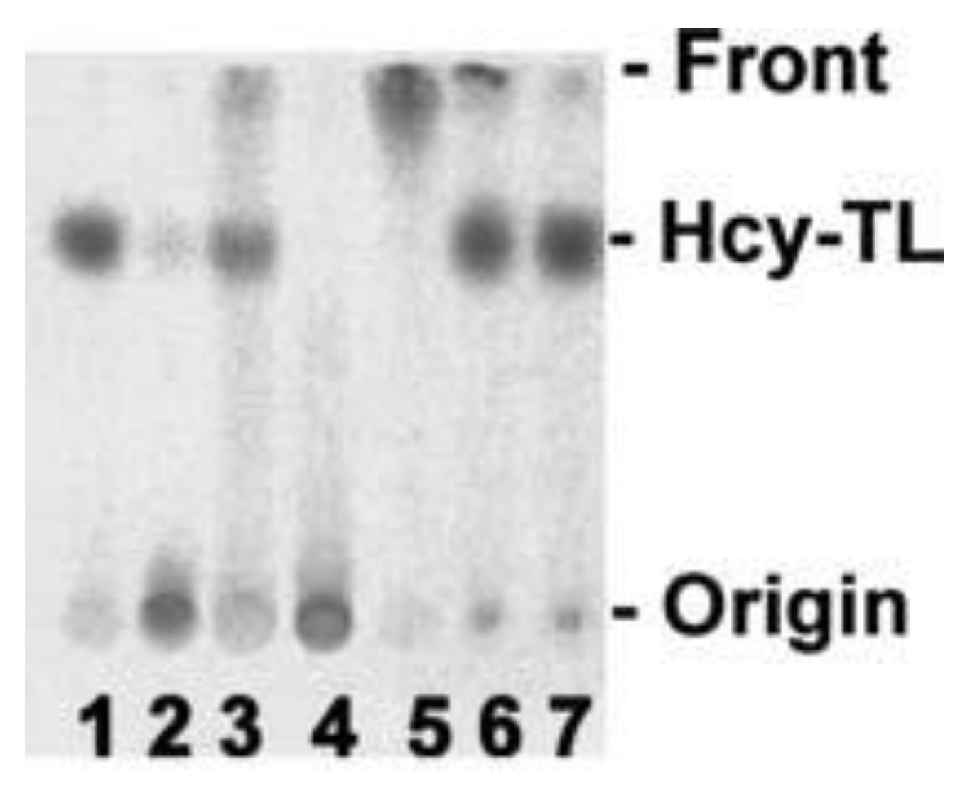 Preprints 142247 g005