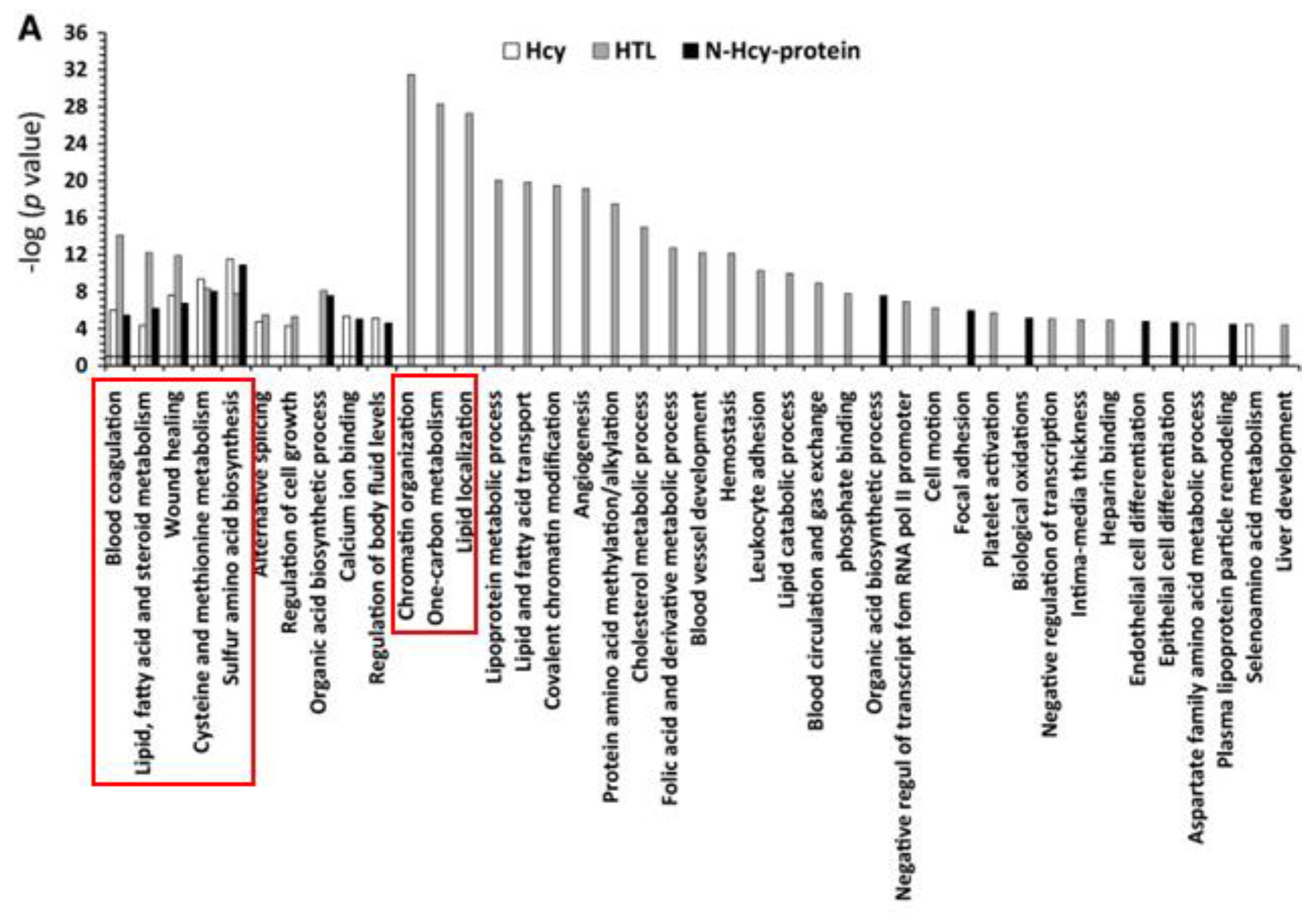Preprints 142247 g006