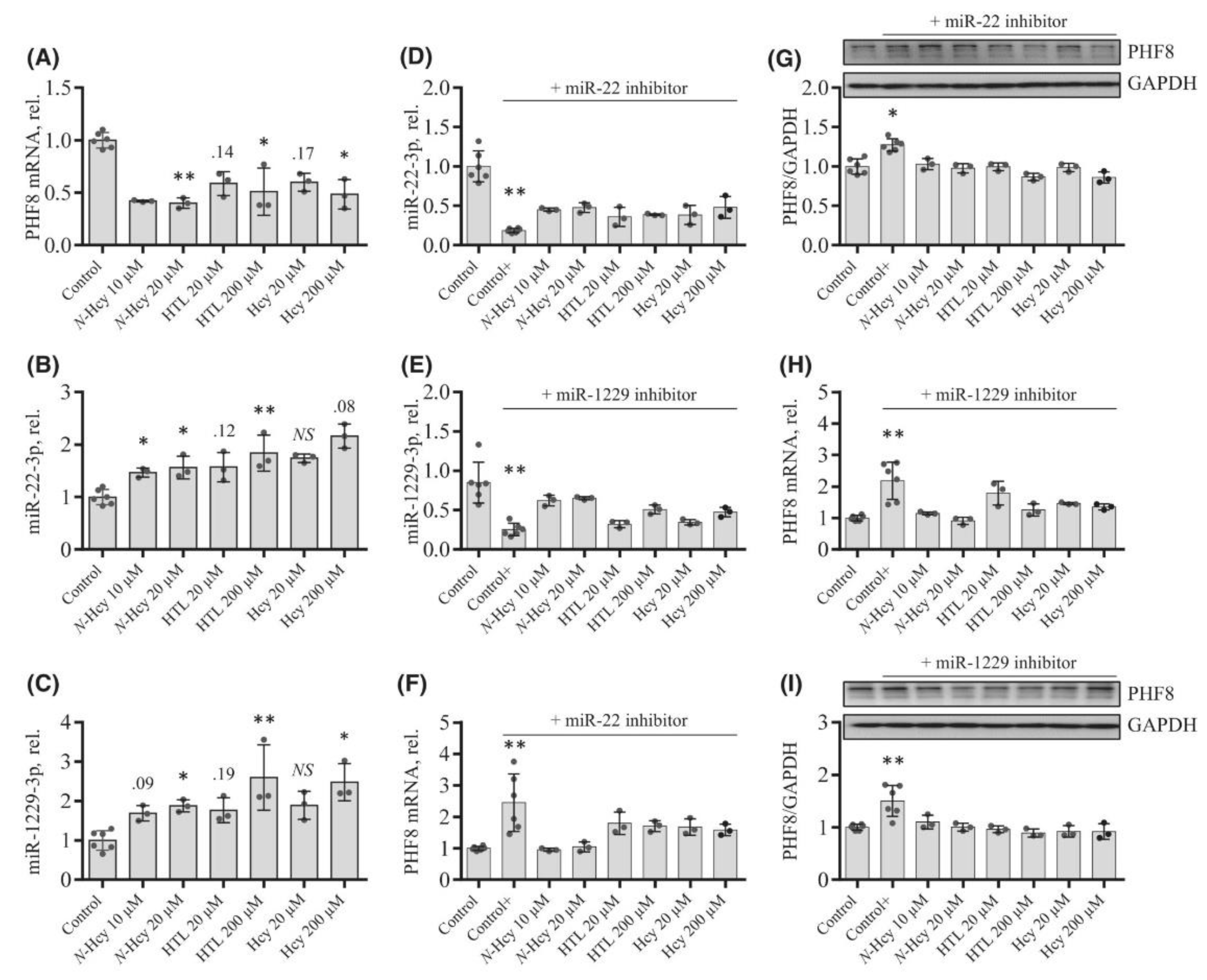 Preprints 142247 g008
