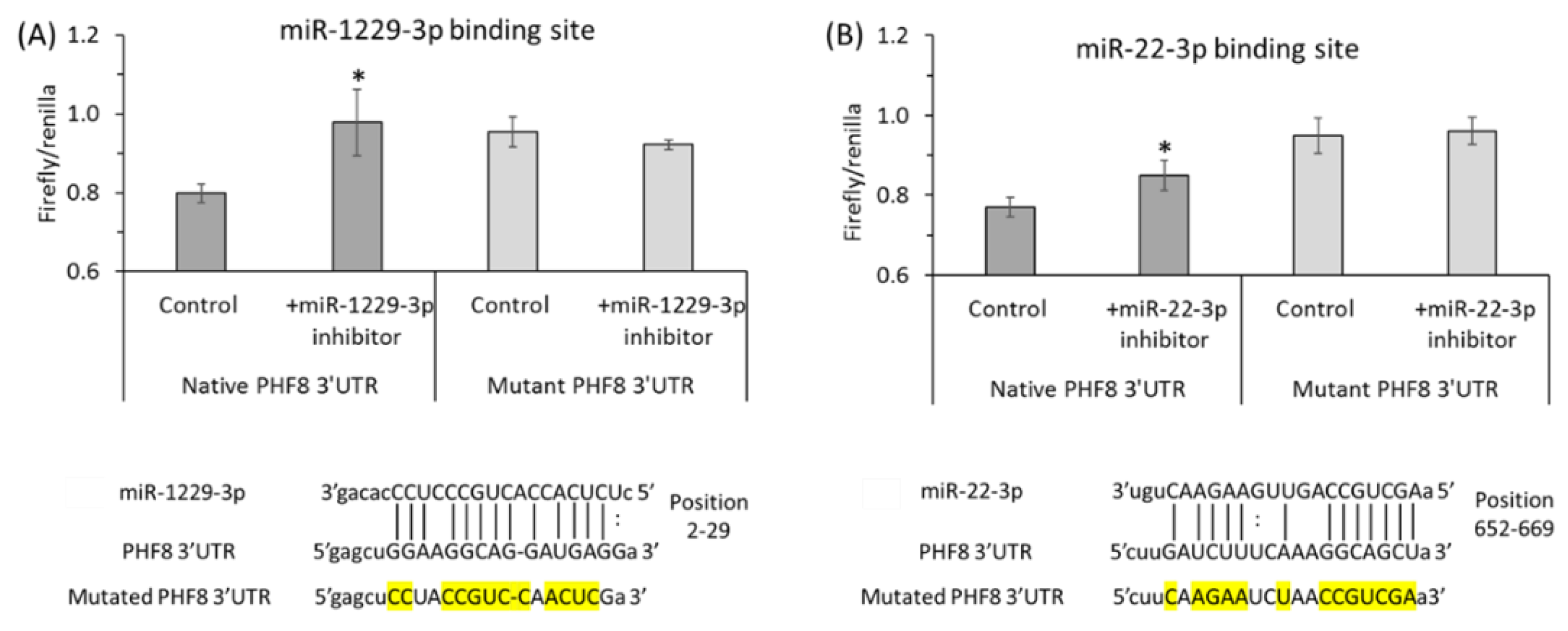 Preprints 142247 g009
