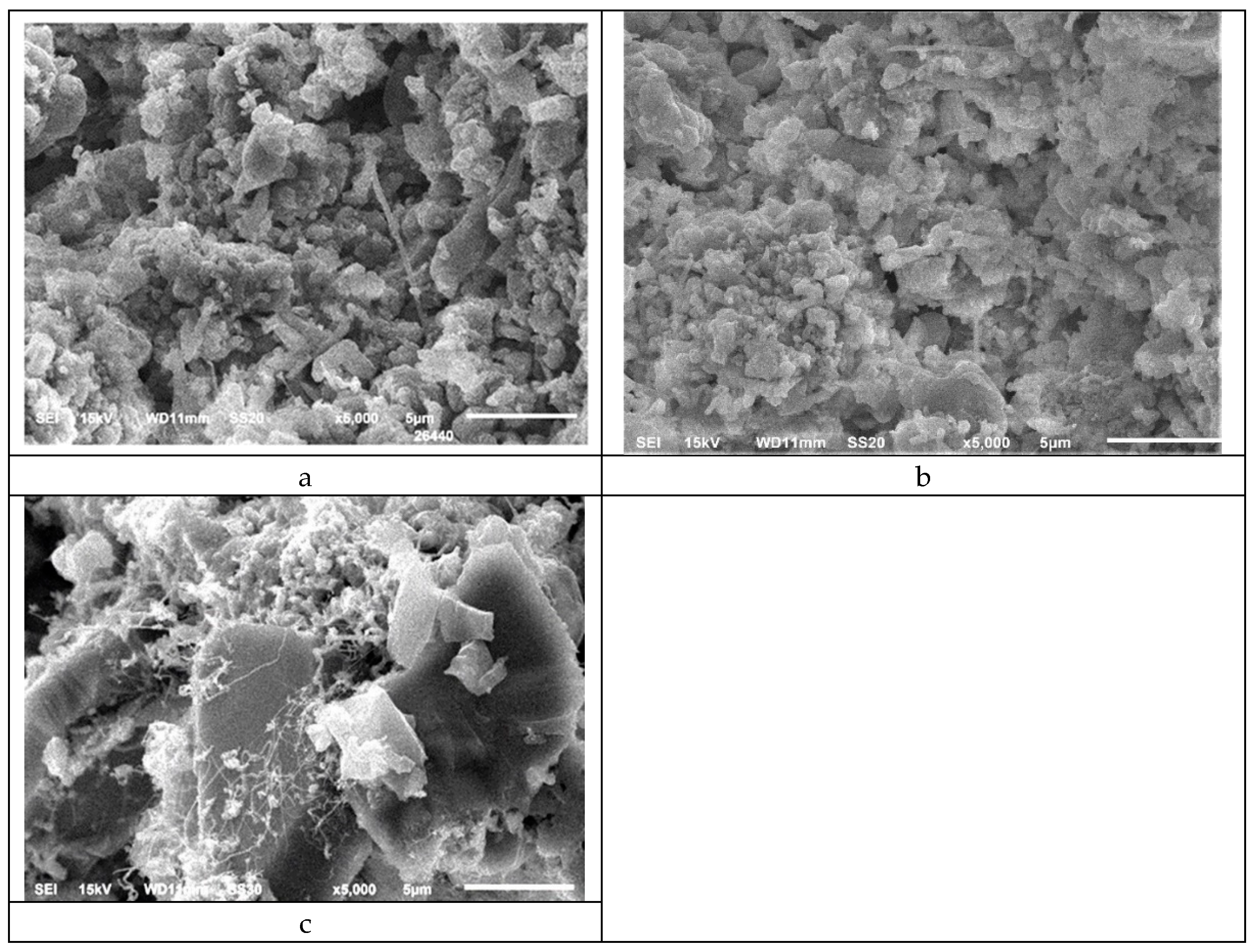 A*s  2014 2015 2016 Hyundai Elantra Radiator Cooling Fan Motor
