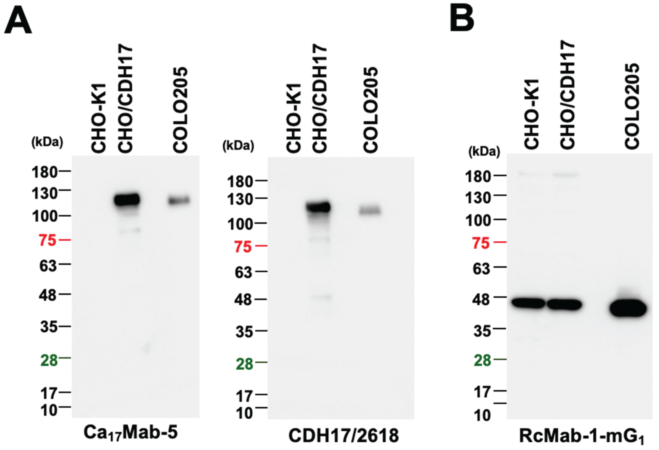 Preprints 214668 g006 Preprints 214668 g006