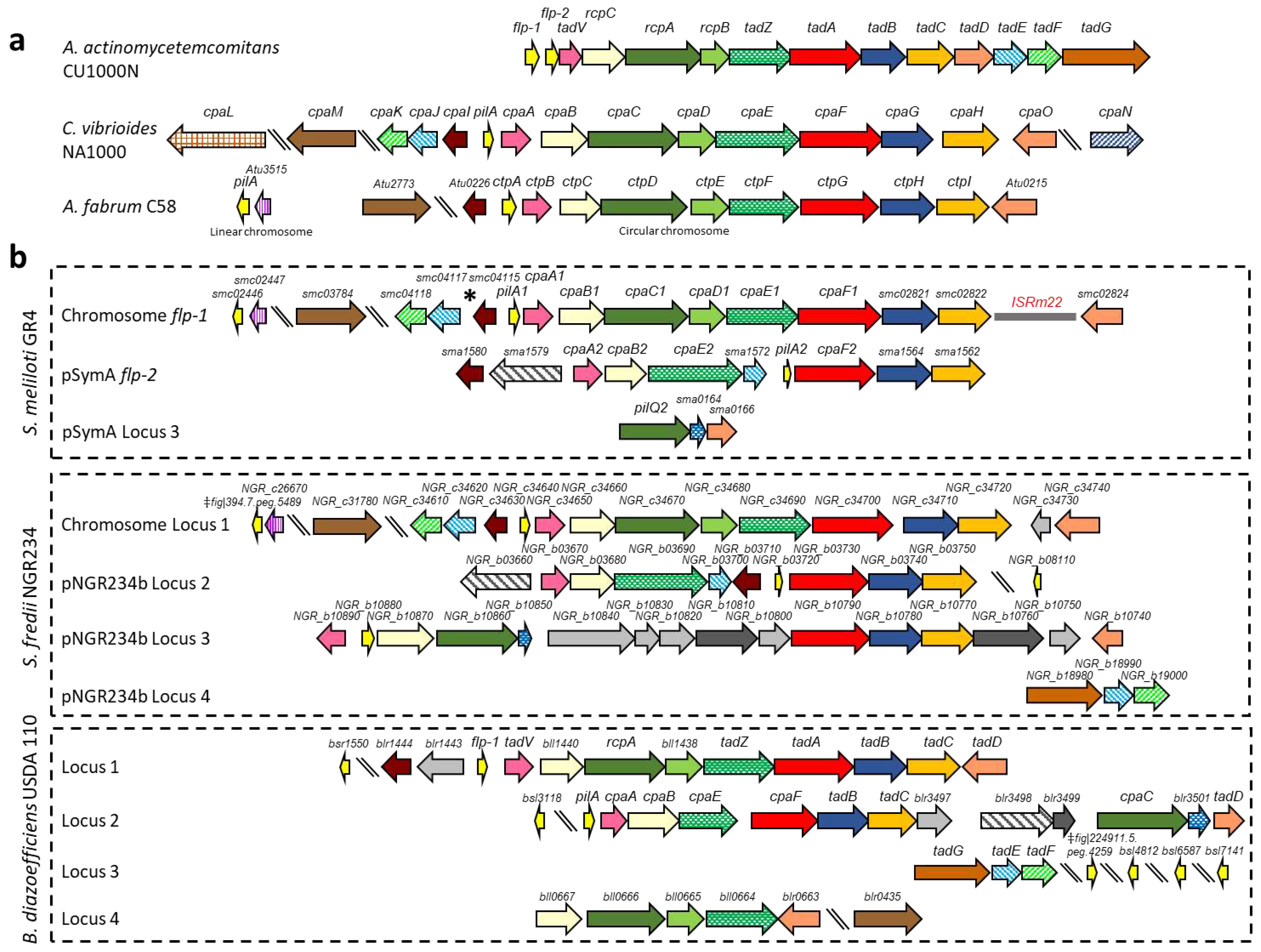 Preprints 96013 g001