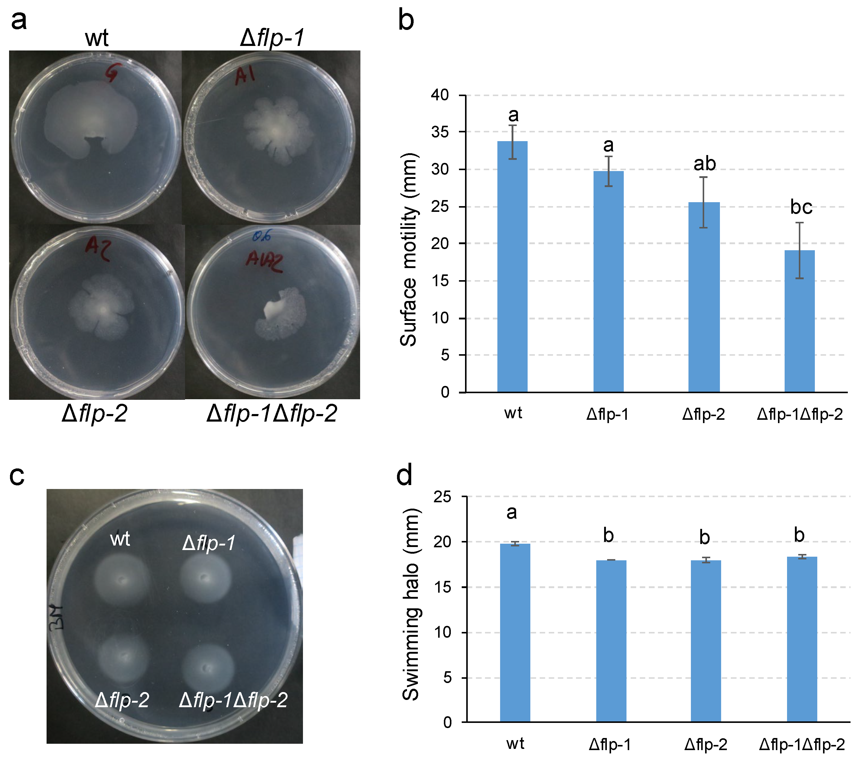 Preprints 96013 g004
