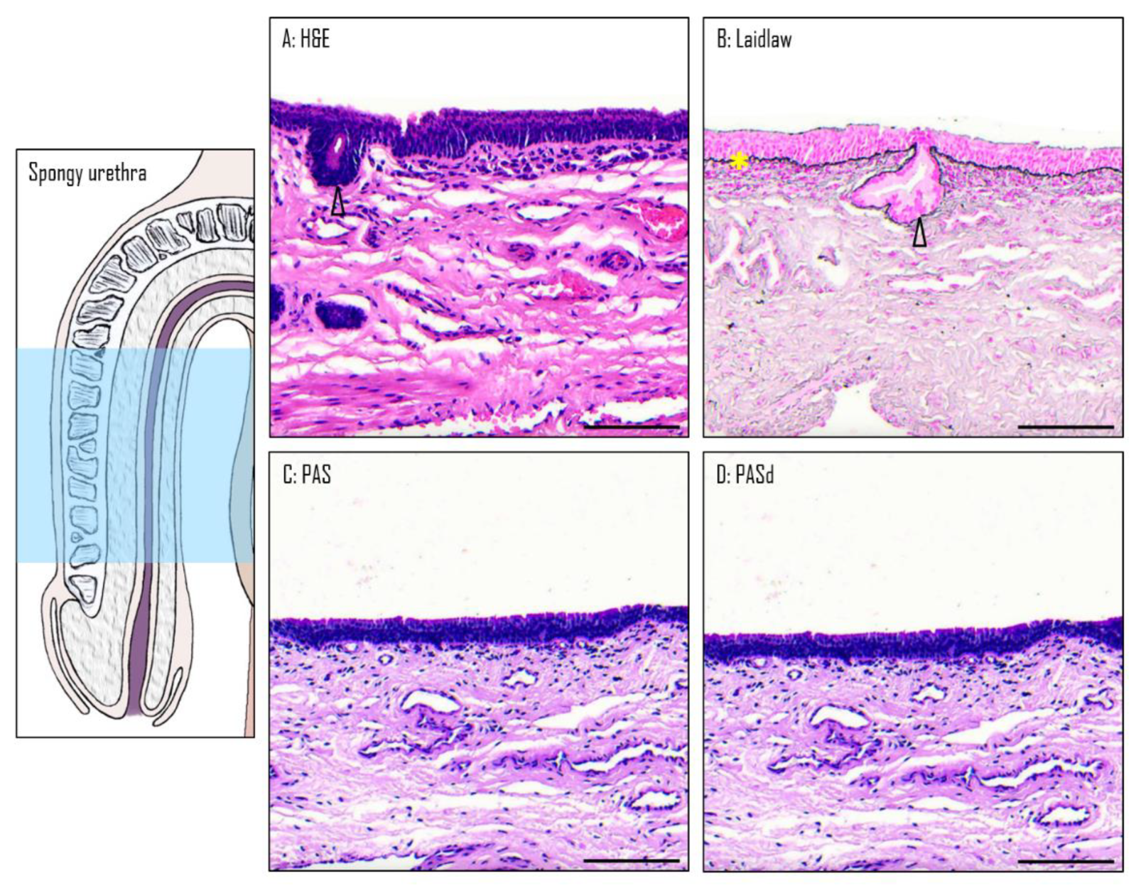 Preprints 119872 g006