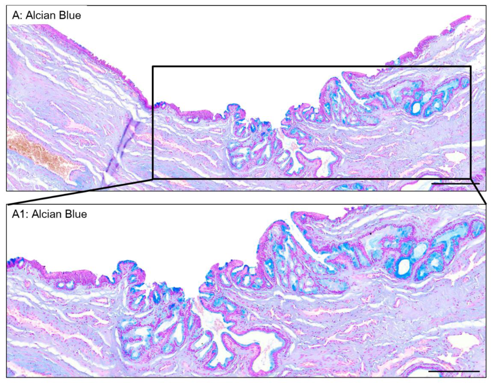 Preprints 119872 g007