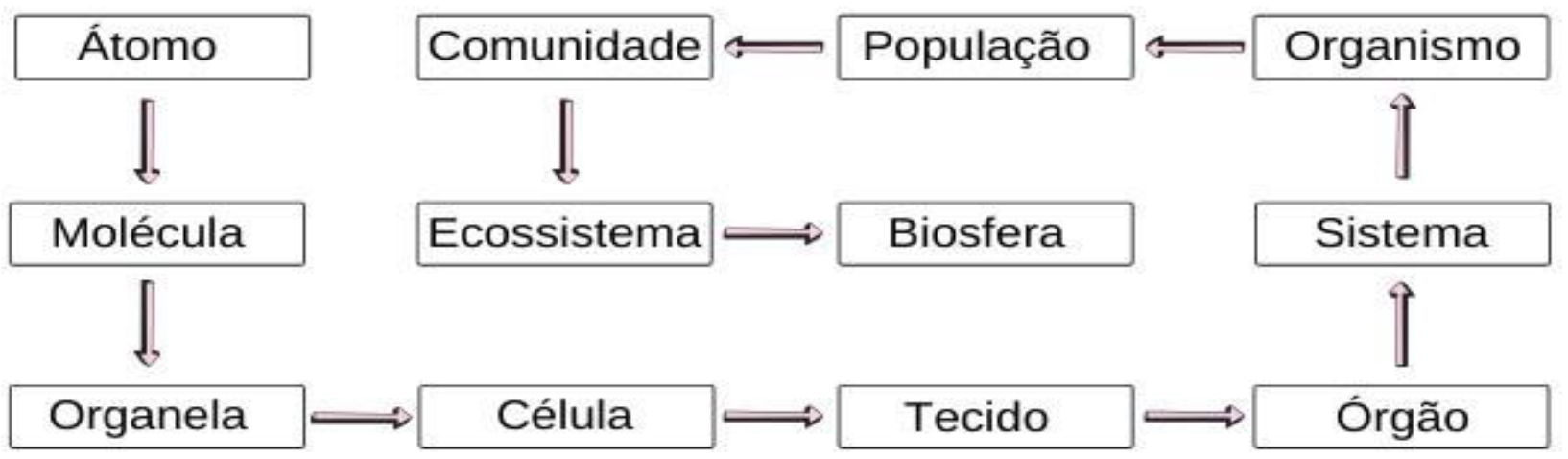 Preprints 148693 g005