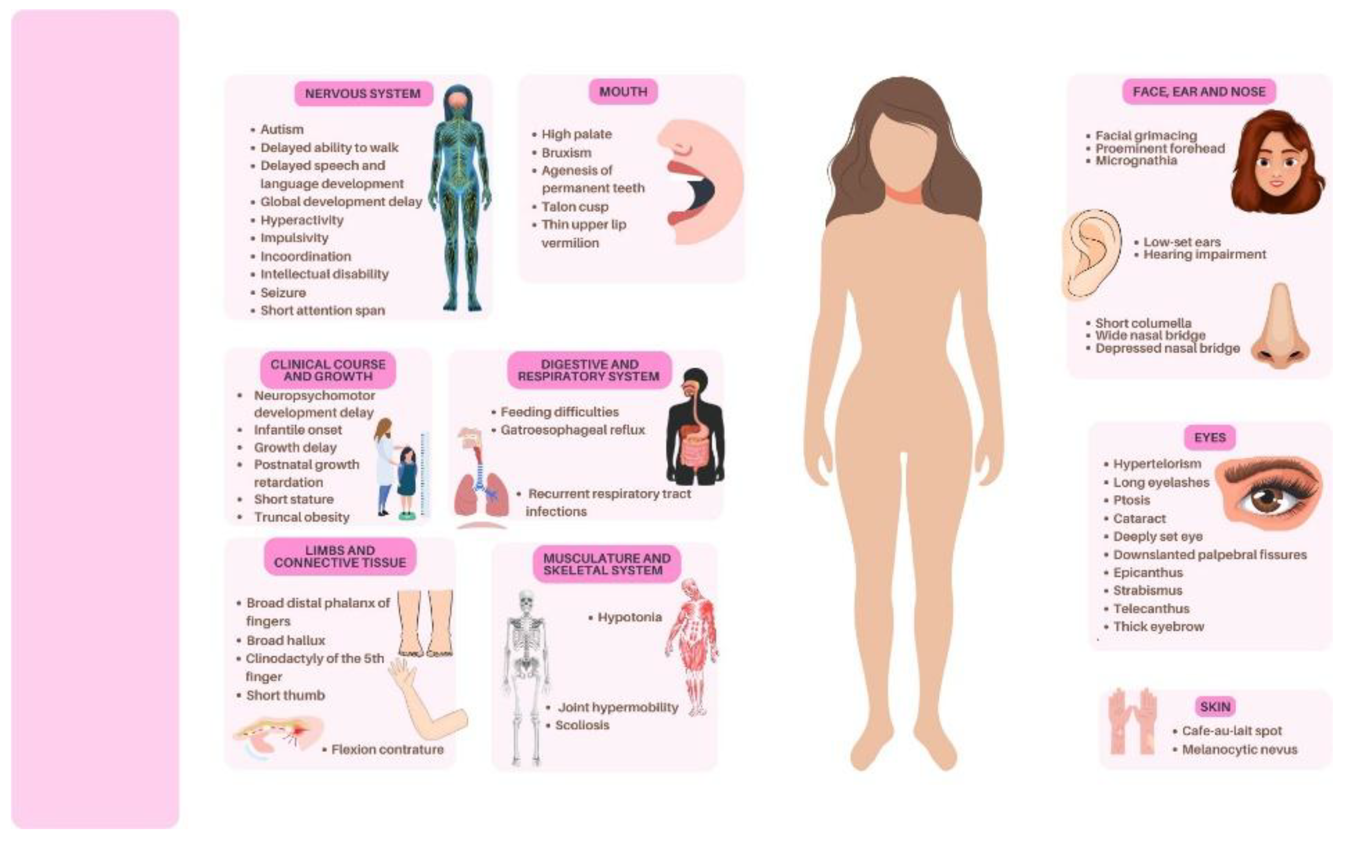 Preprints 165054 g001