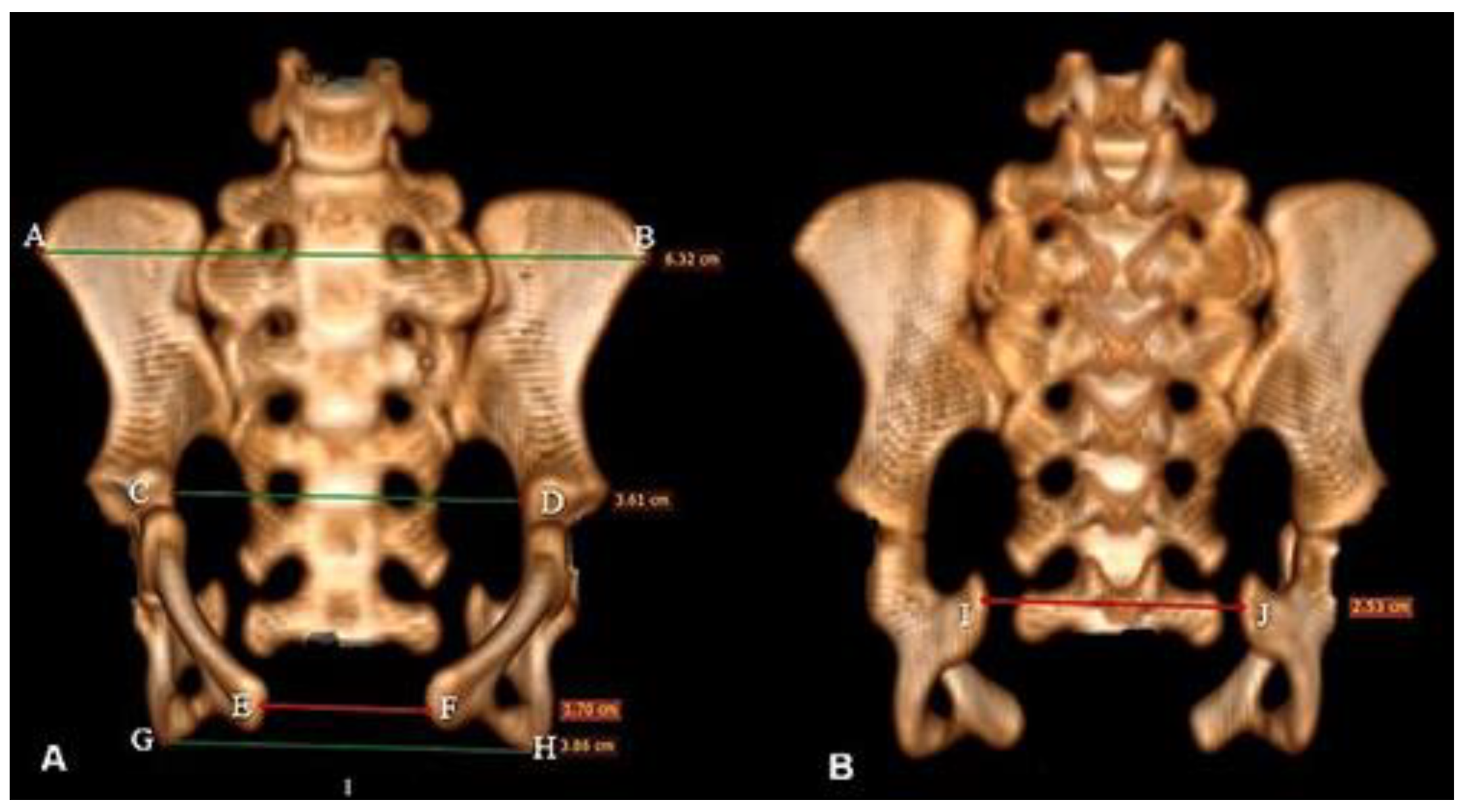 Preprints 161462 g002