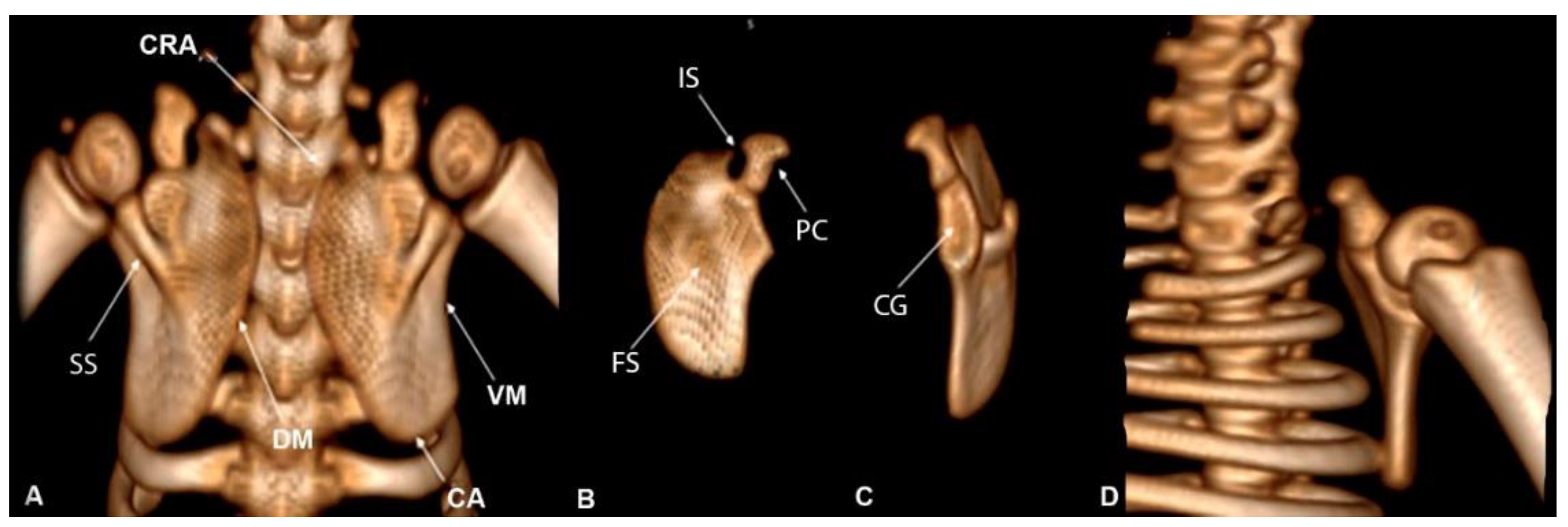 Preprints 161462 g003