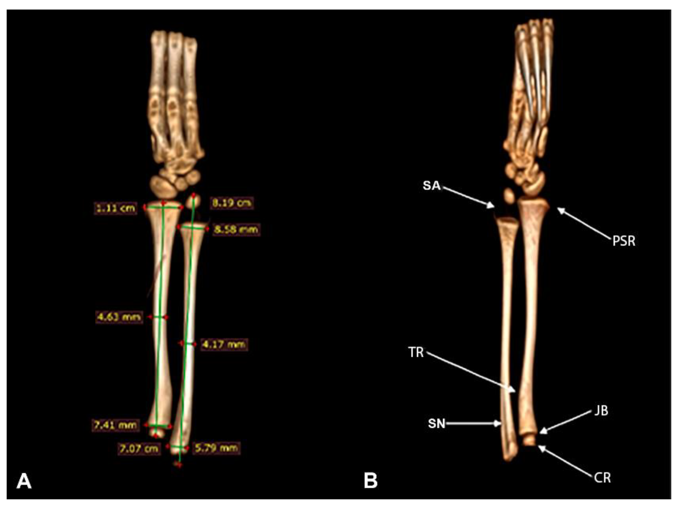 Preprints 161462 g005