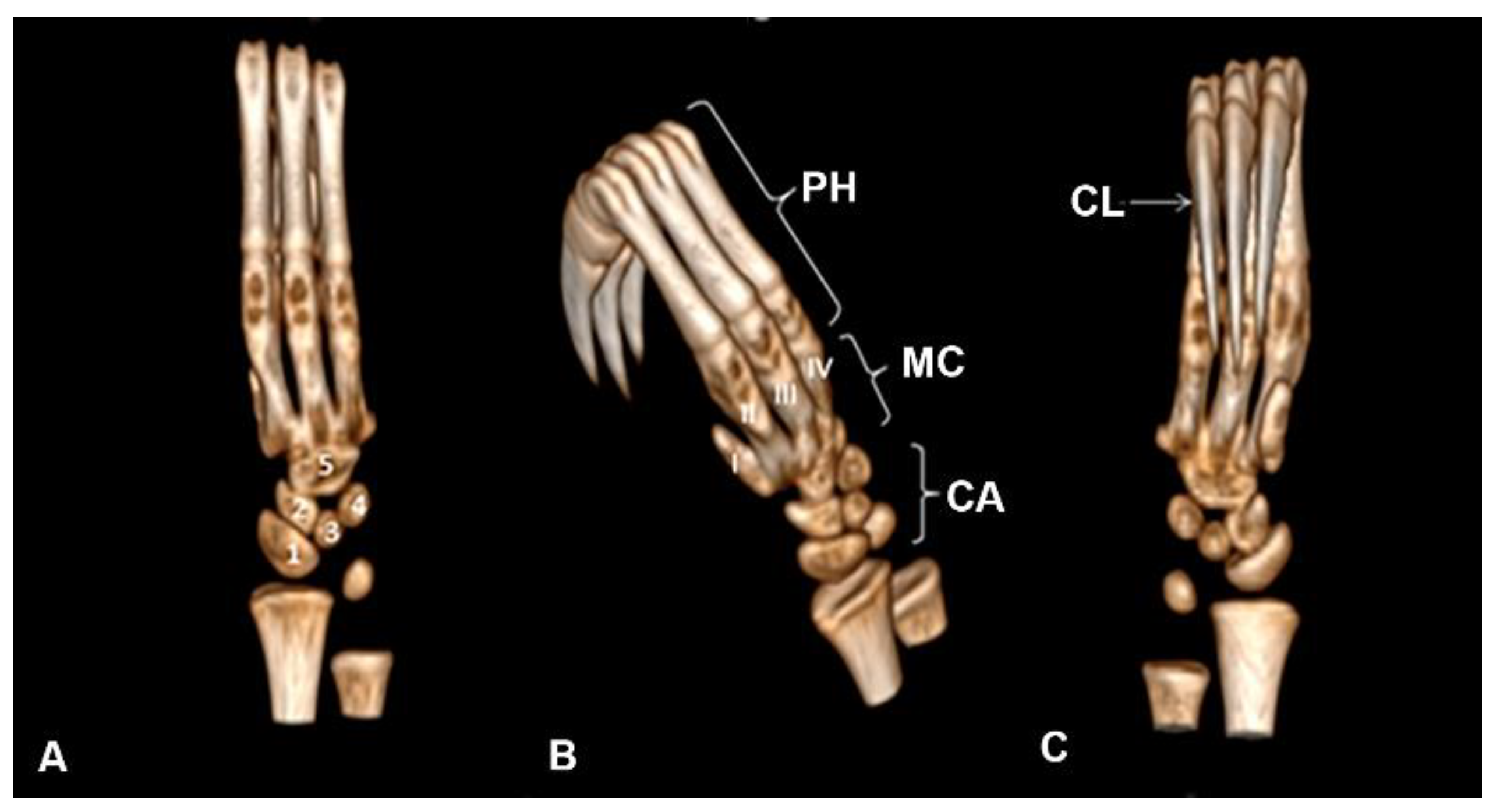 Preprints 161462 g006
