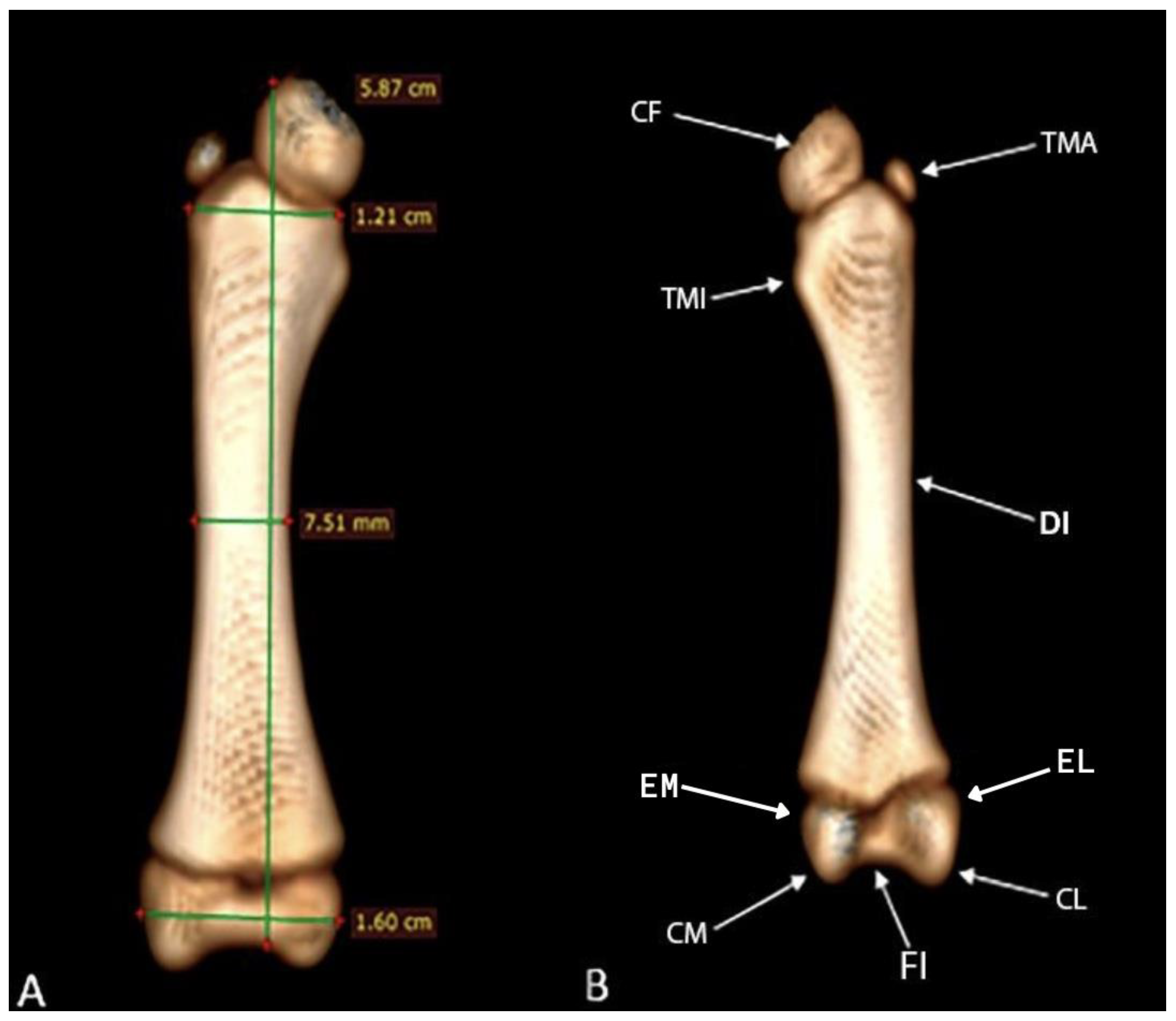 Preprints 161462 g007