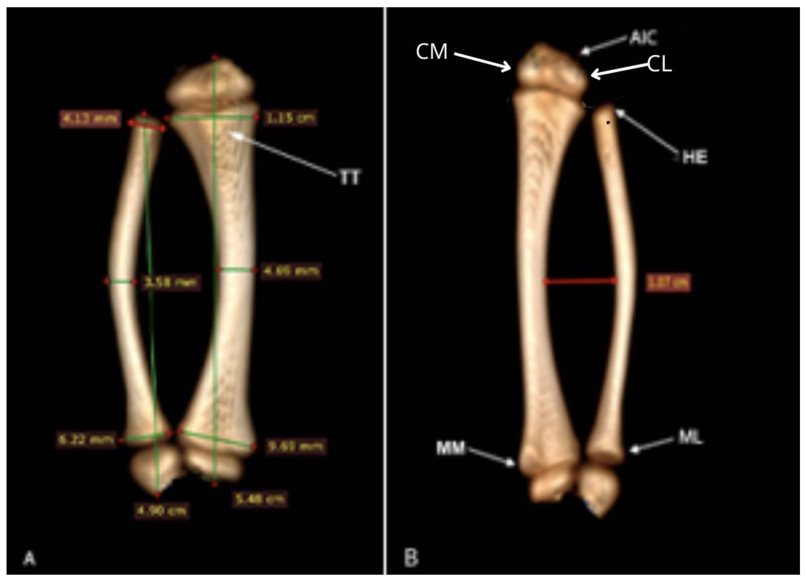 Preprints 161462 g008
