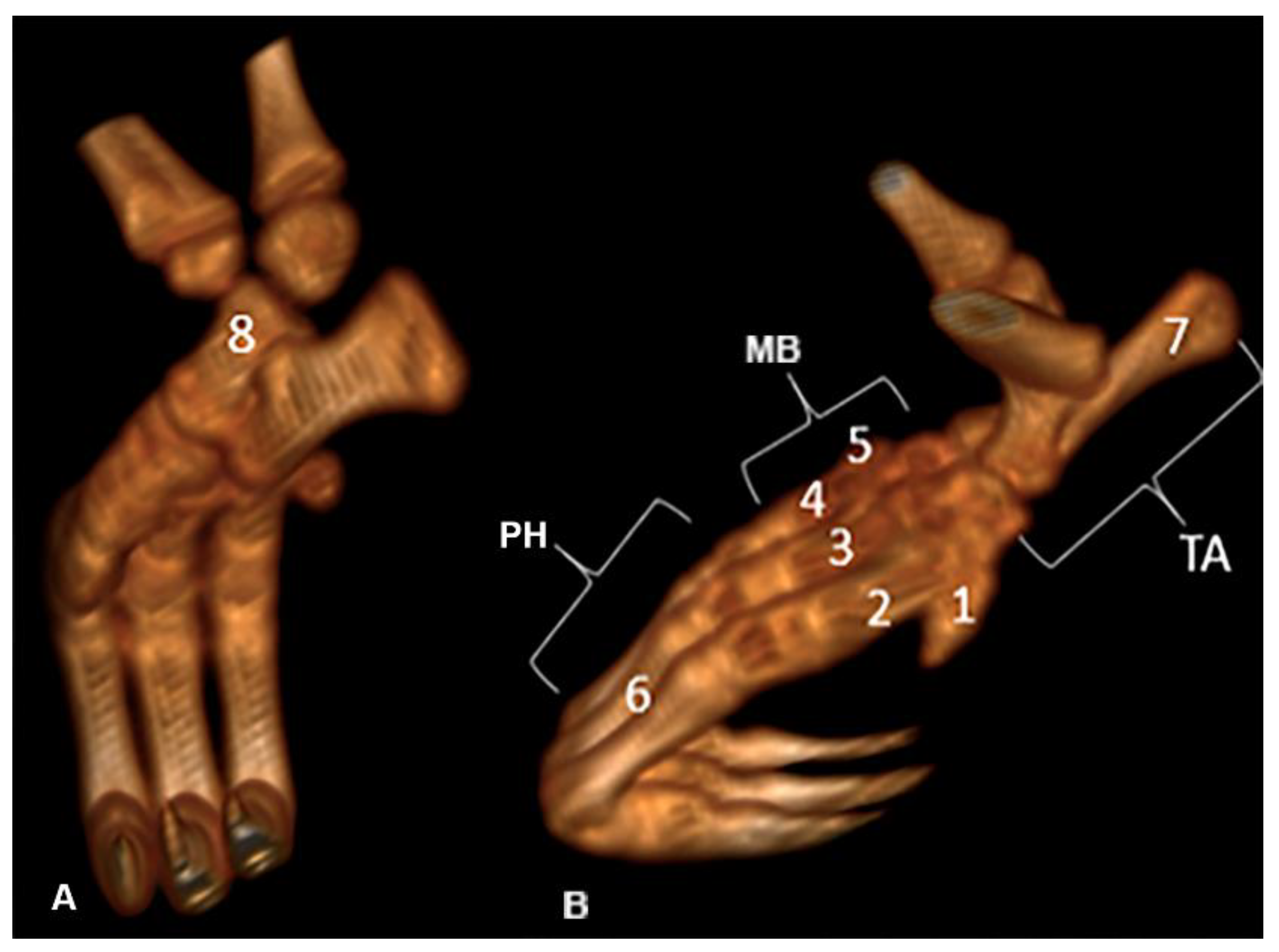 Preprints 161462 g009