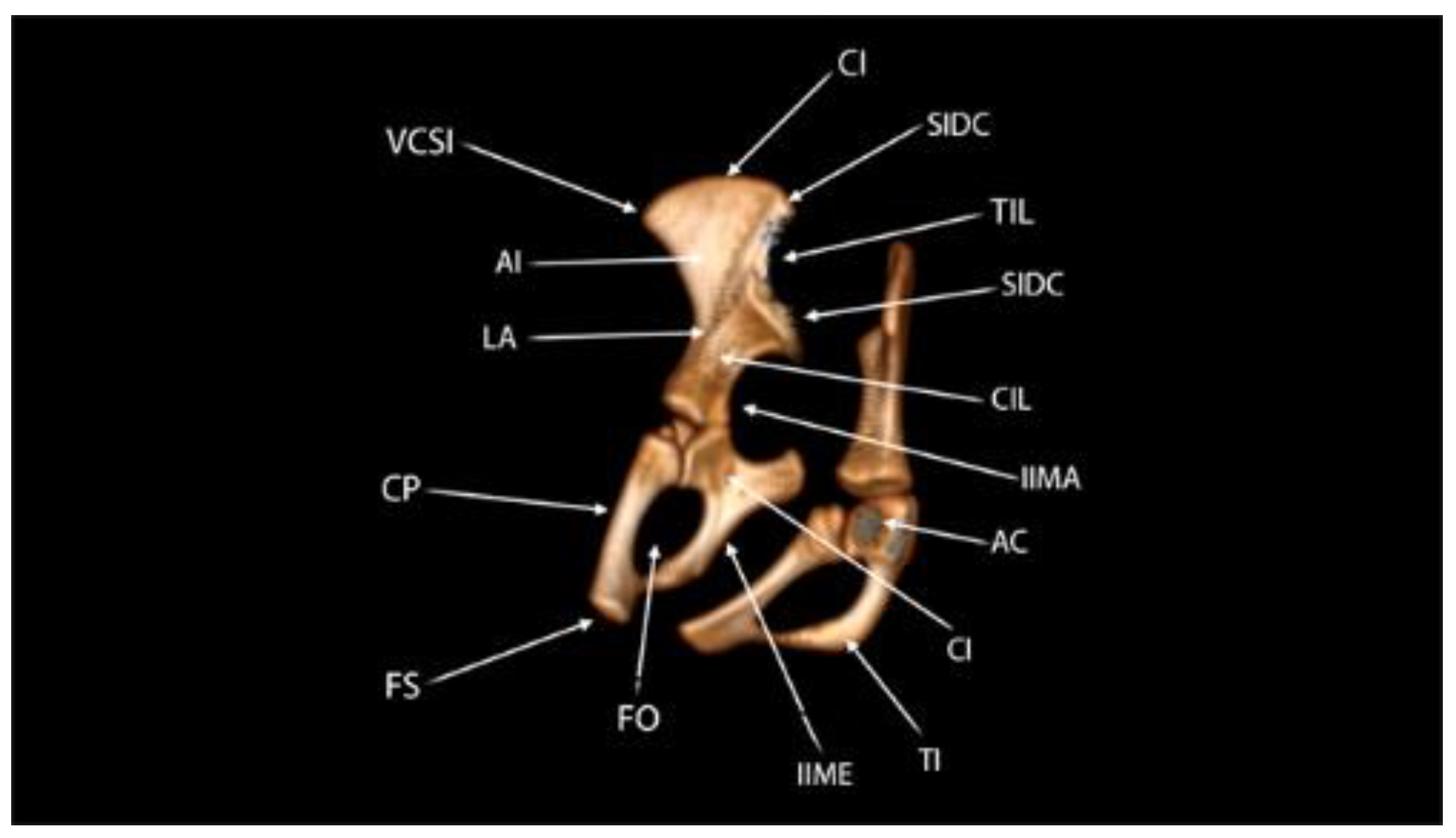Preprints 161462 g012
