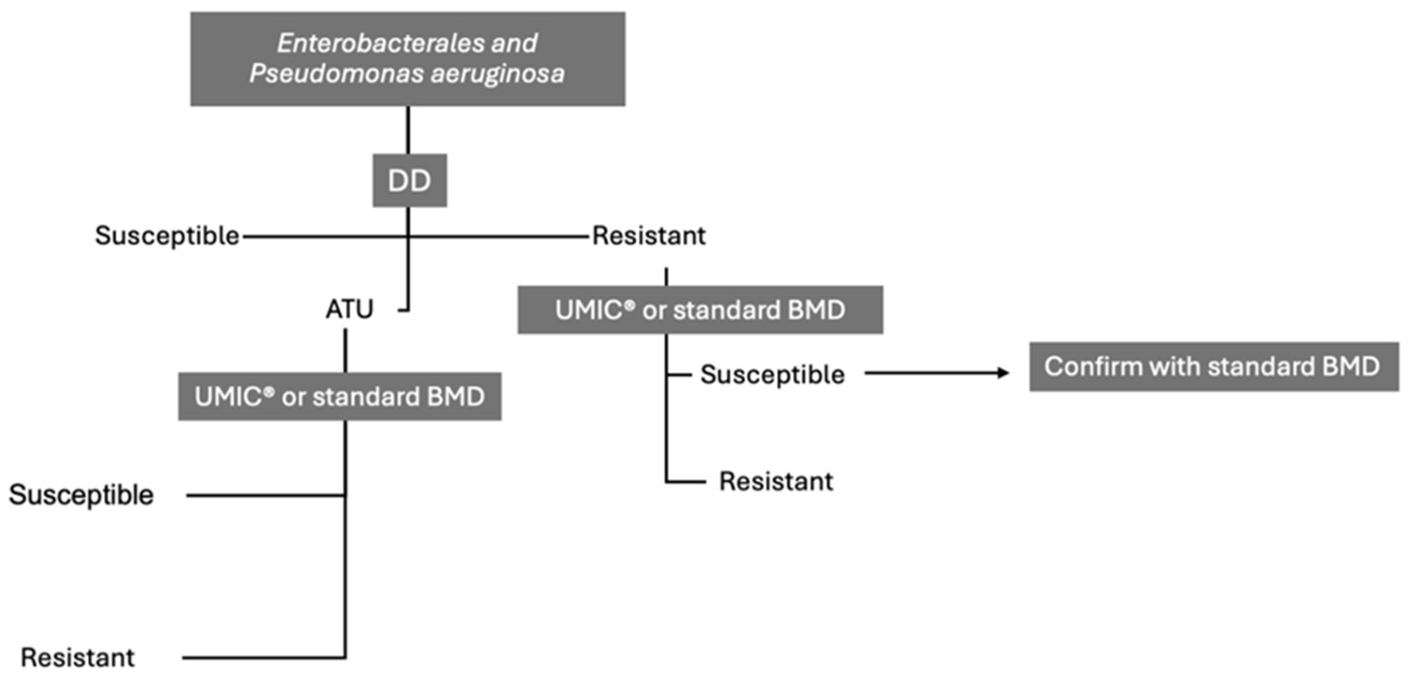Preprints 164243 g001
