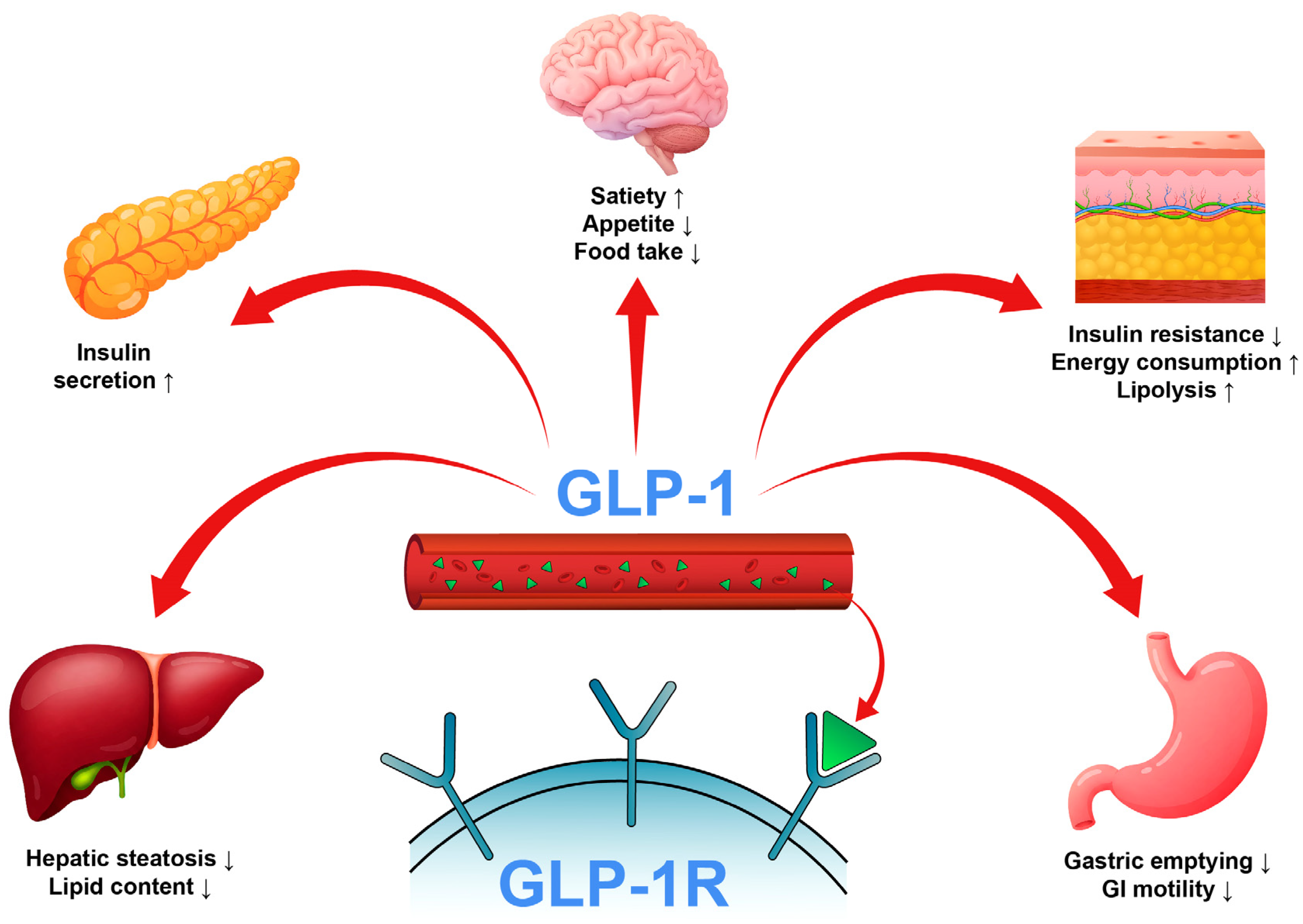 Preprints 160788 g001