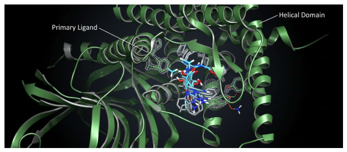 Preprints 227208 g003