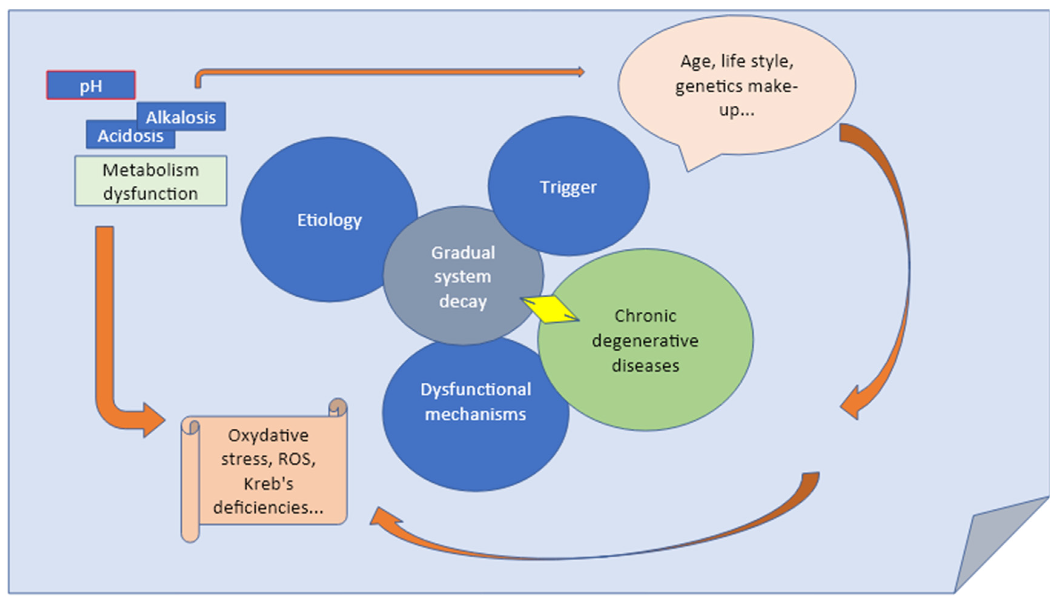 Preprints 72020 g003