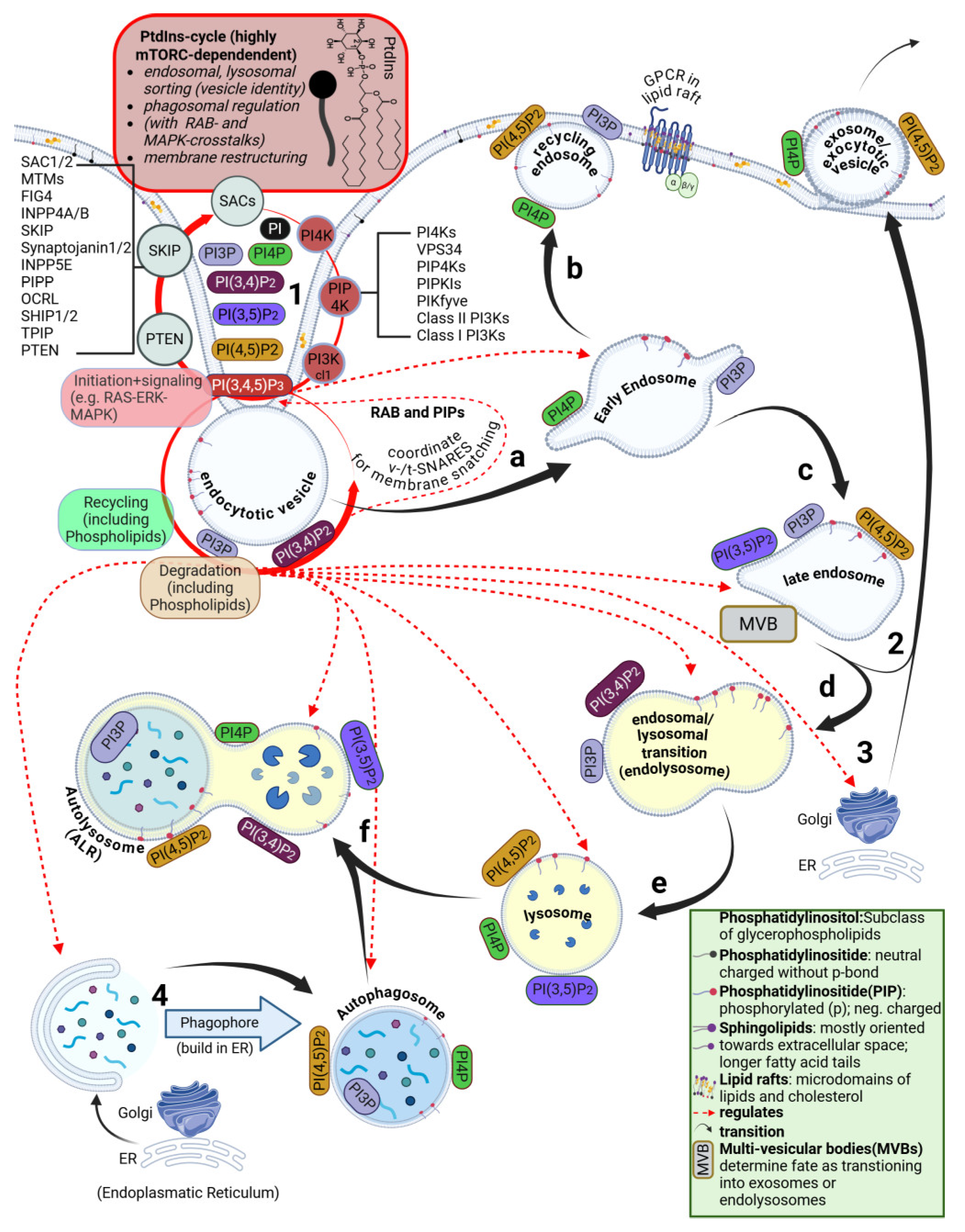 Preprints 183926 g002