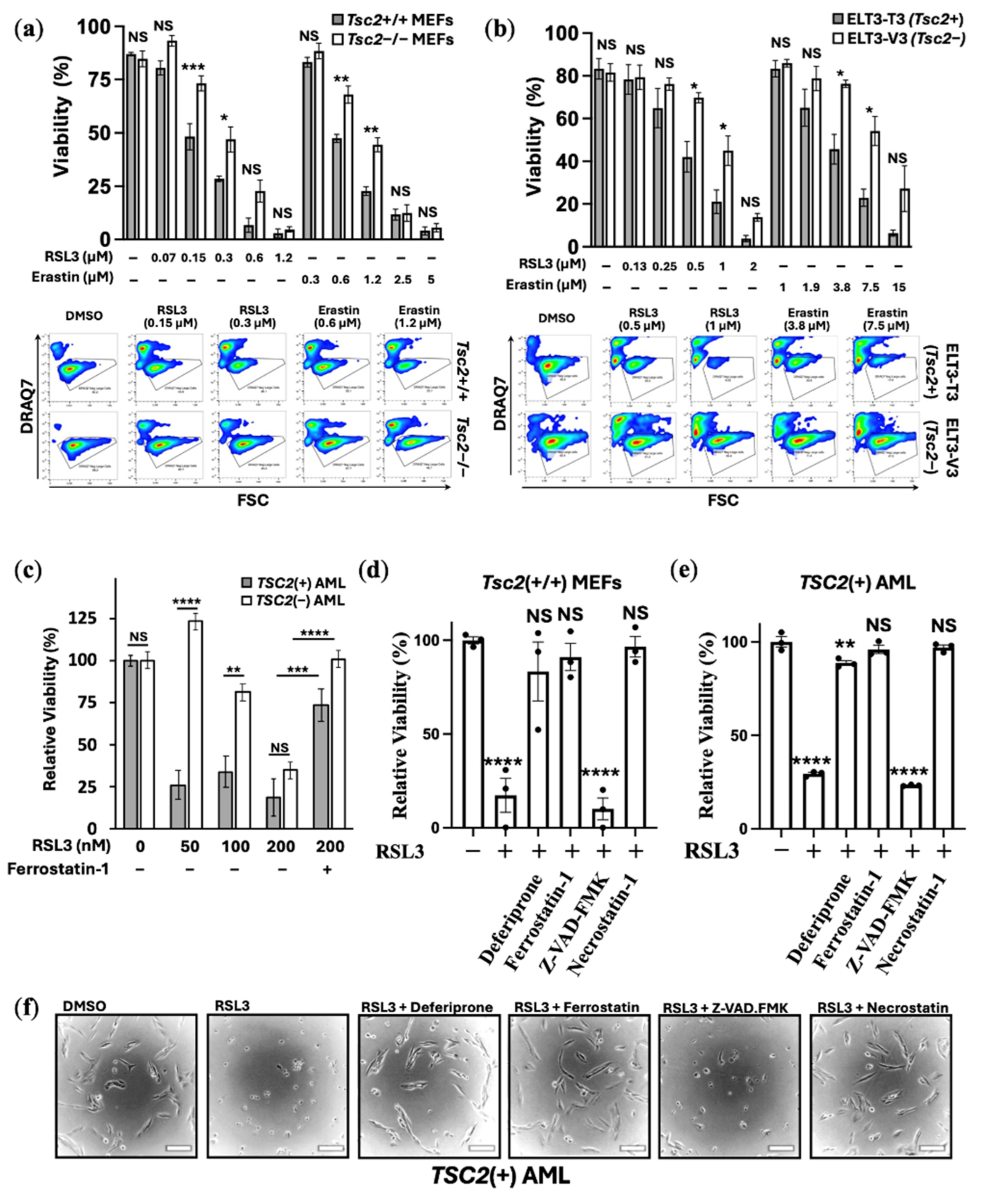 Preprints 173105 g001