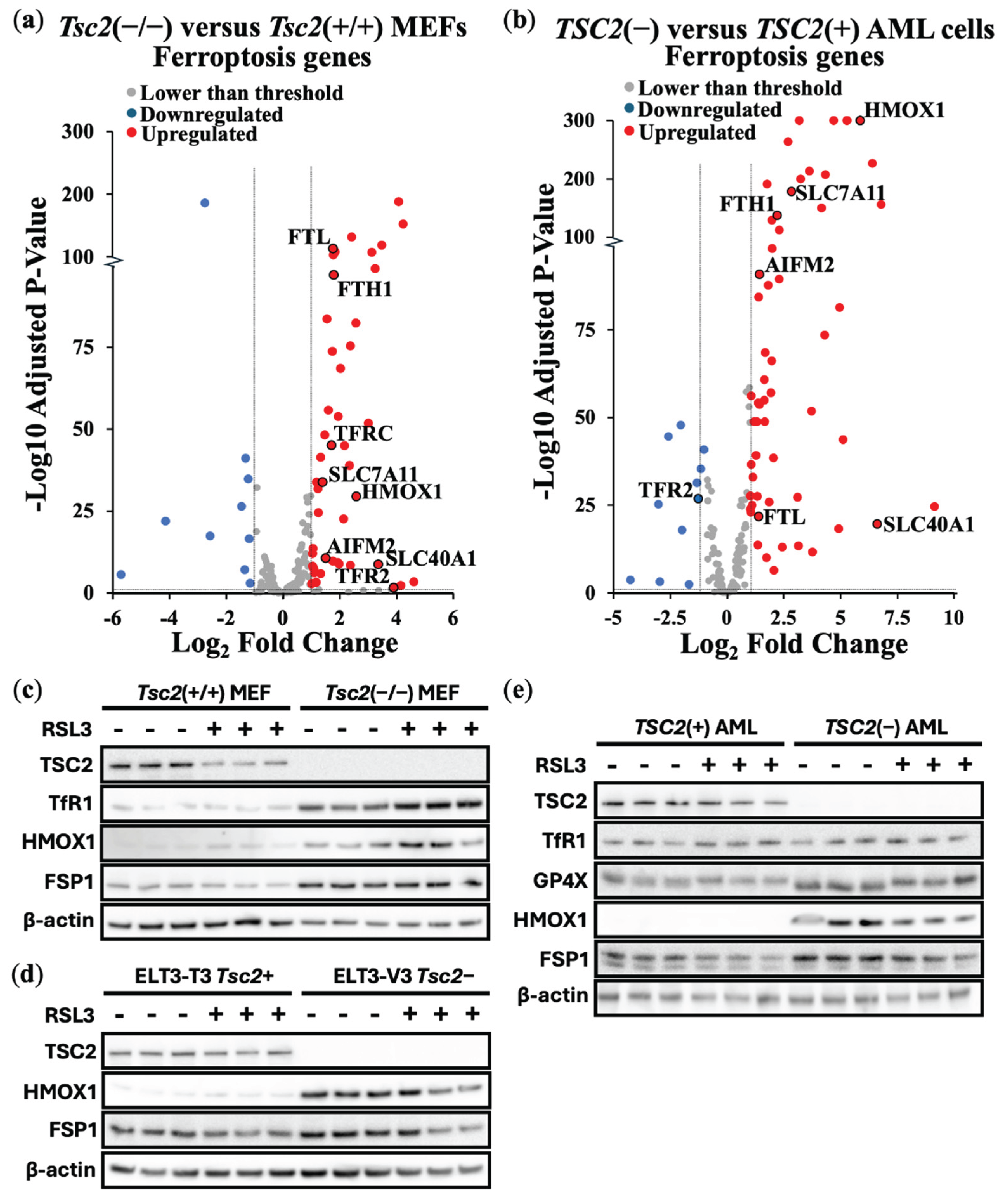 Preprints 173105 g002