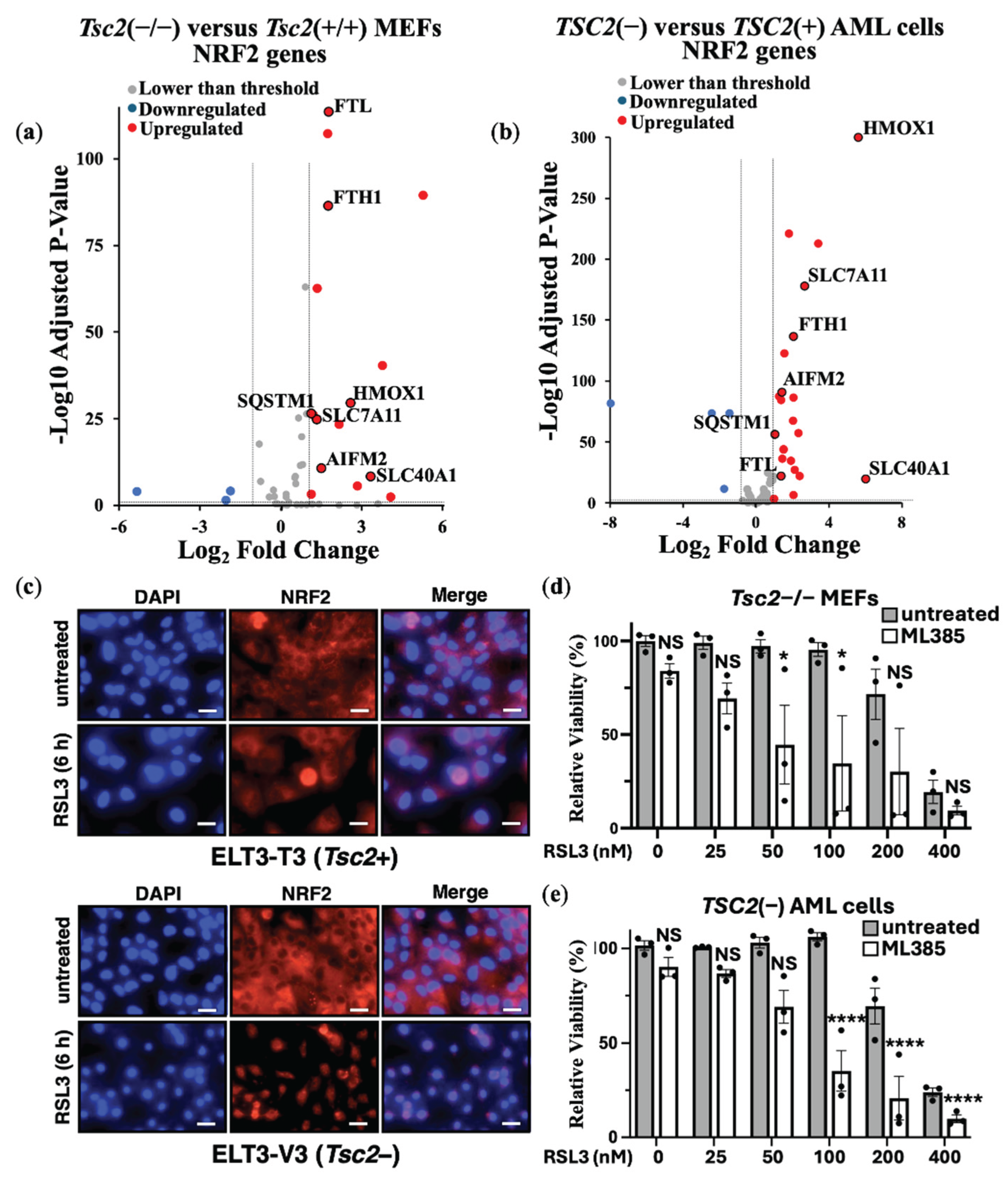 Preprints 173105 g003