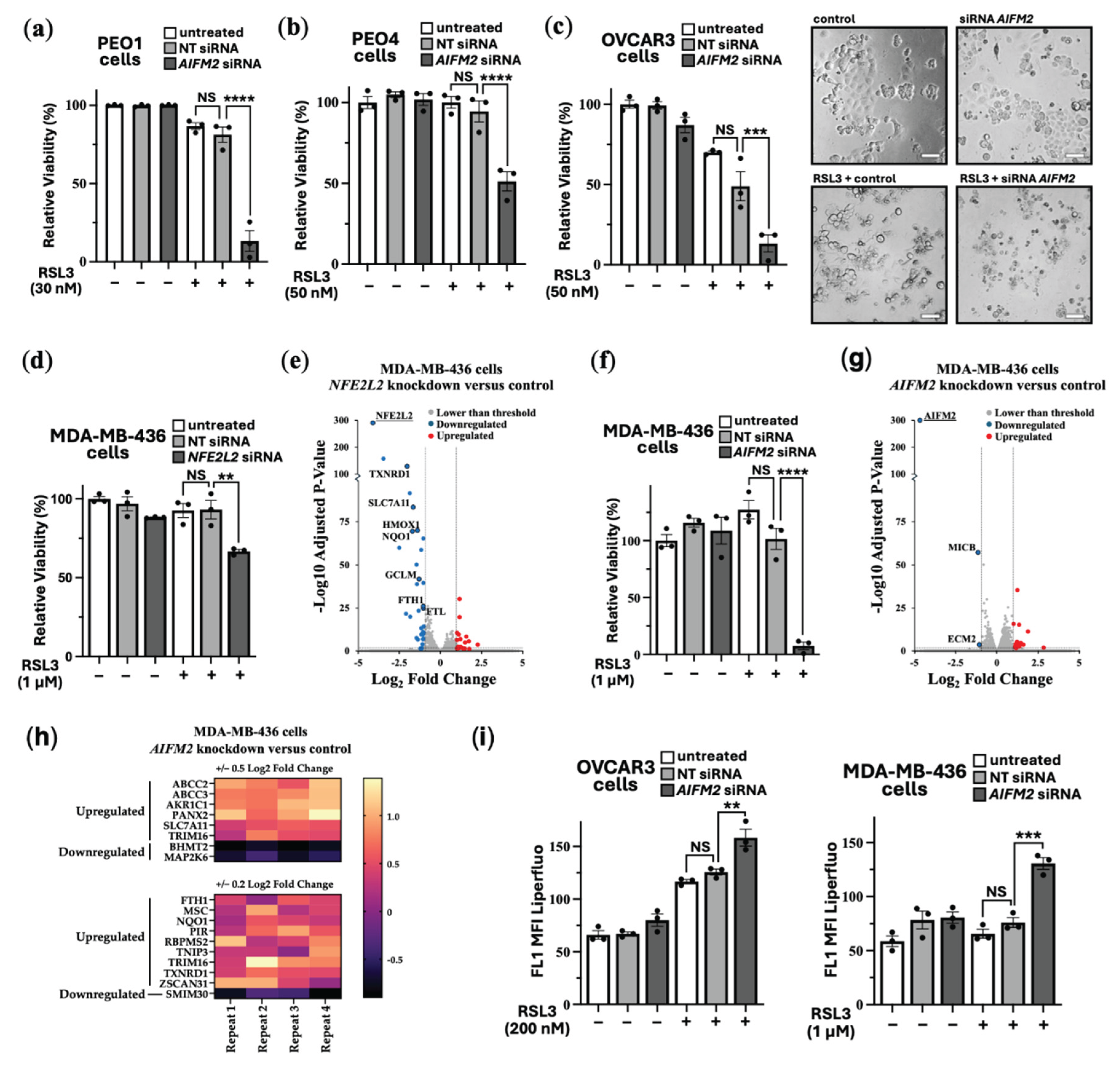 Preprints 173105 g004