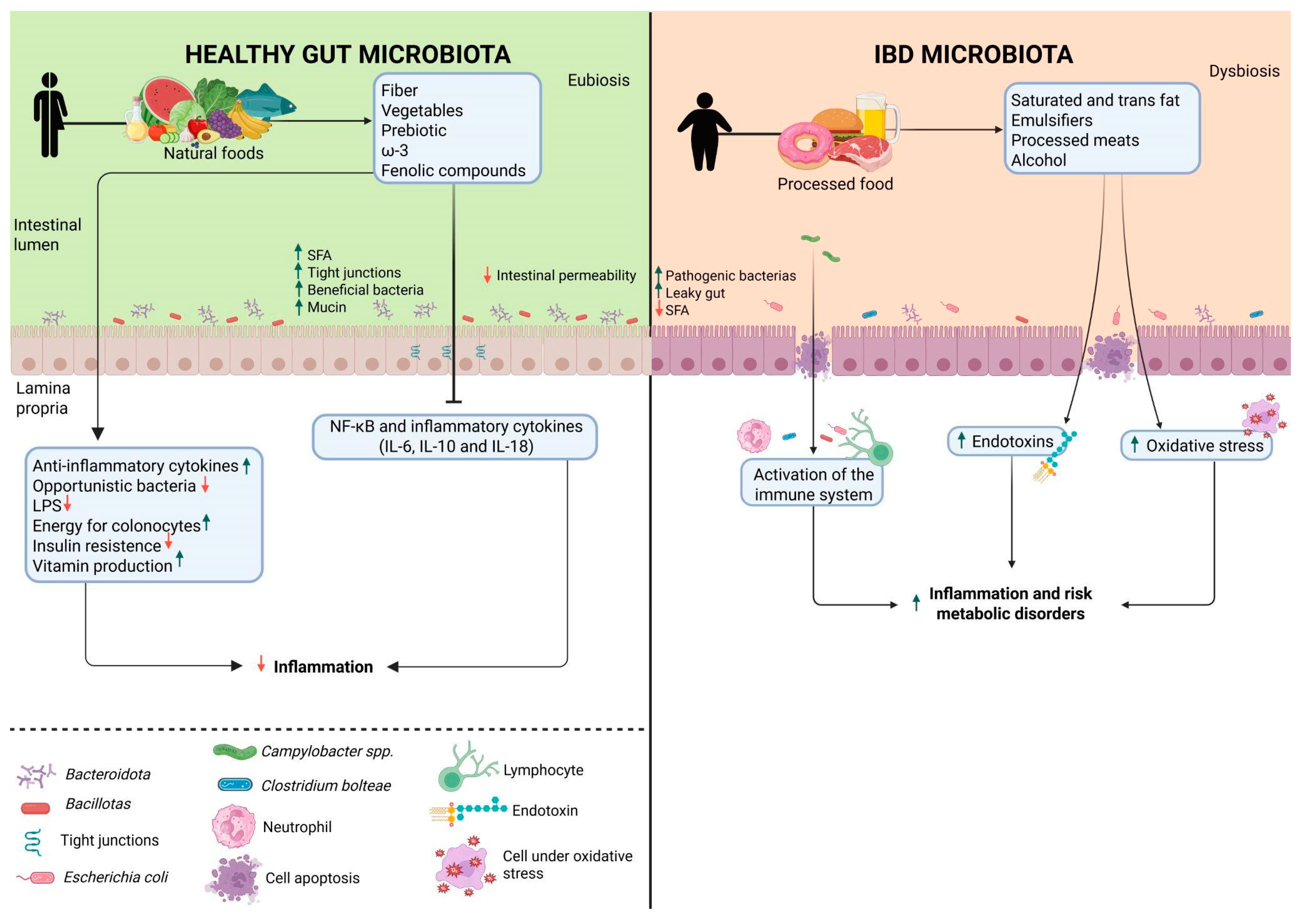 Preprints 168757 g002