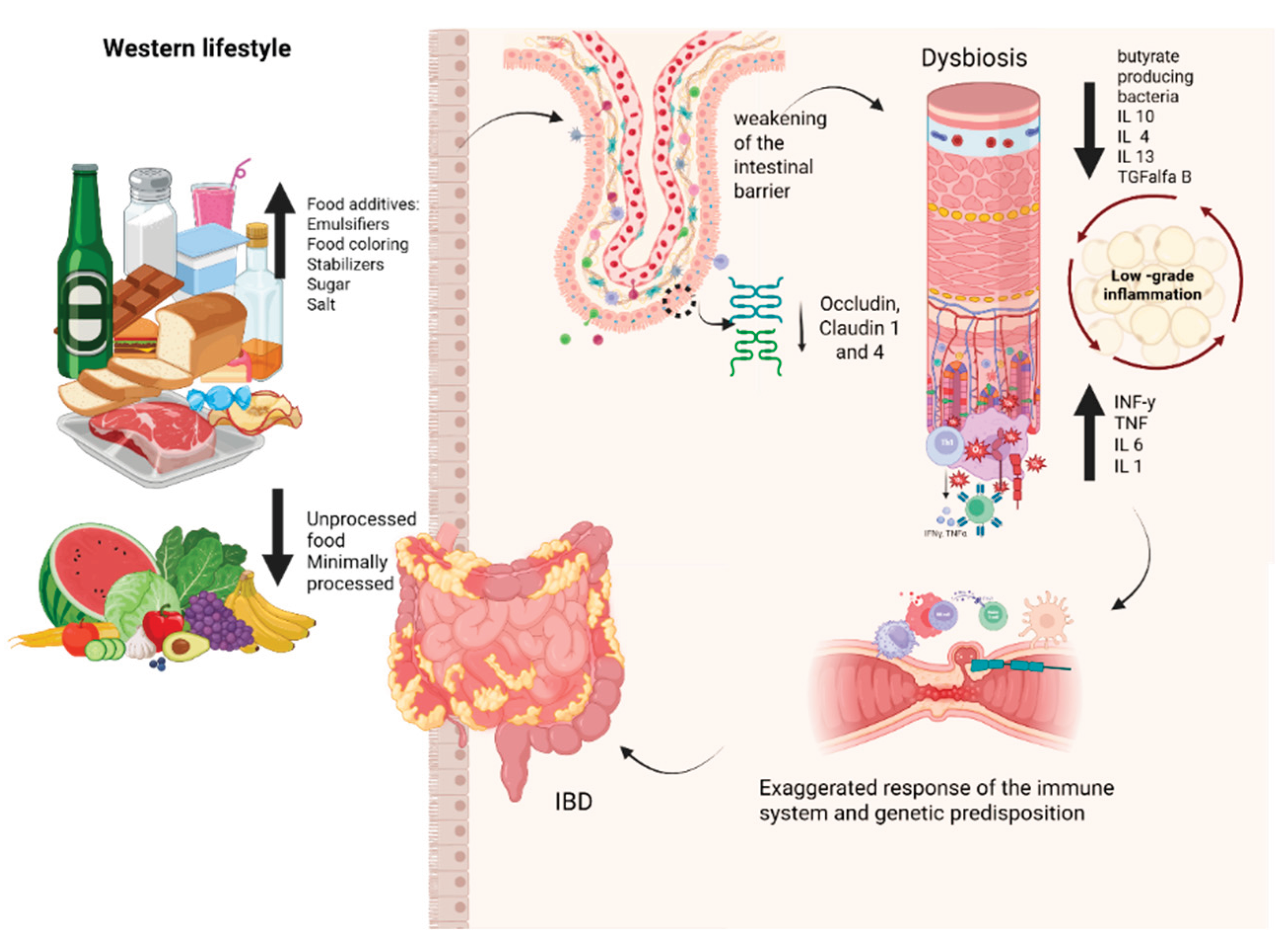Preprints 168757 g003