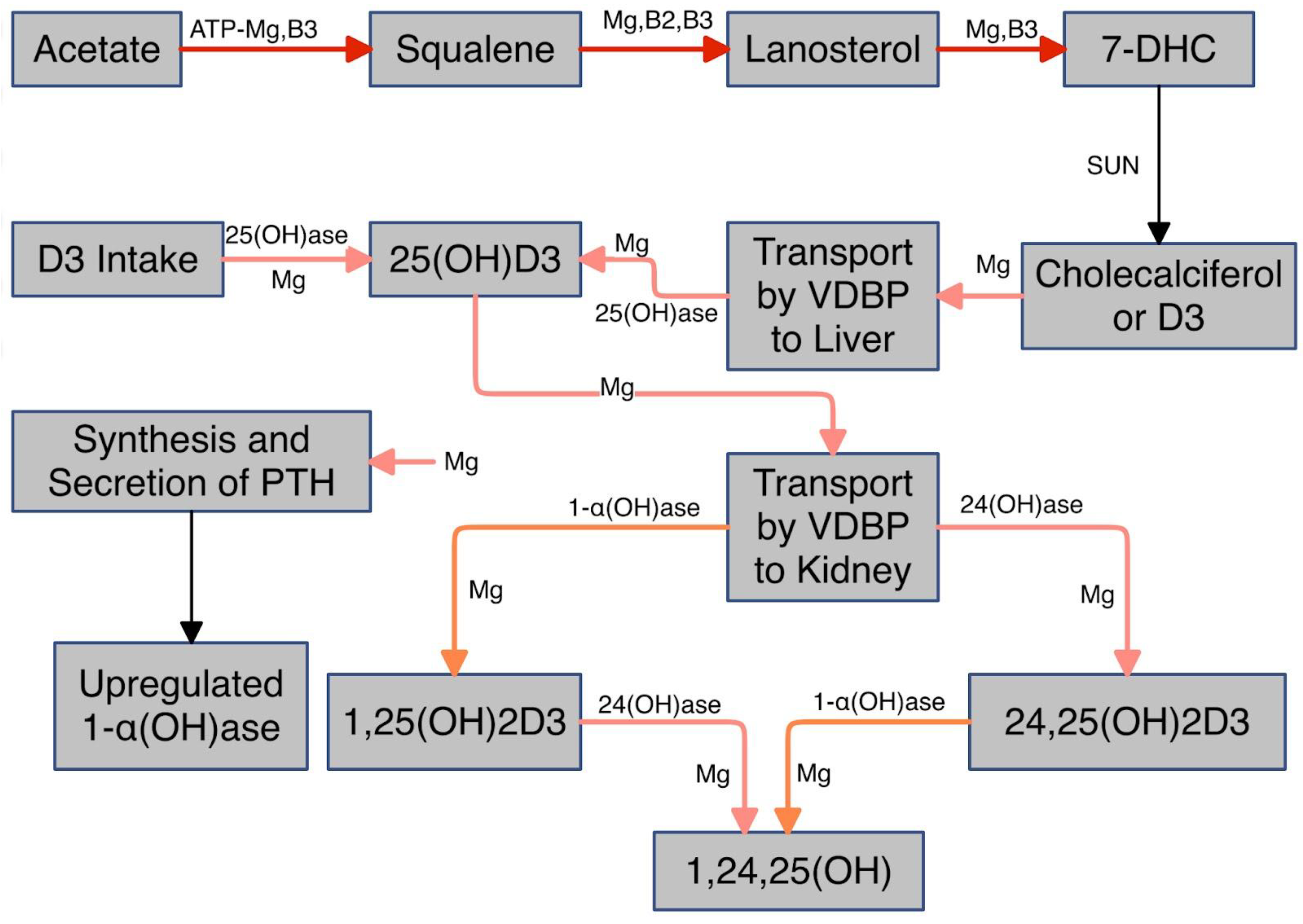 Preprints 149099 g001