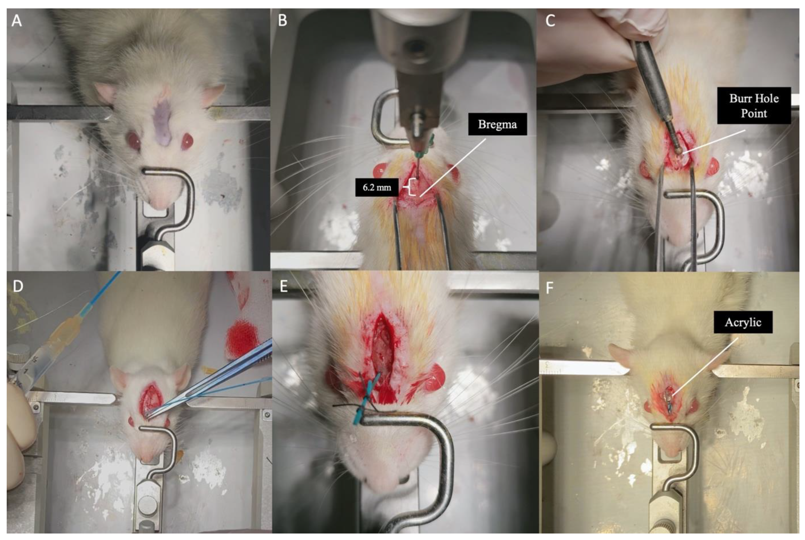 Preprints 169966 g001