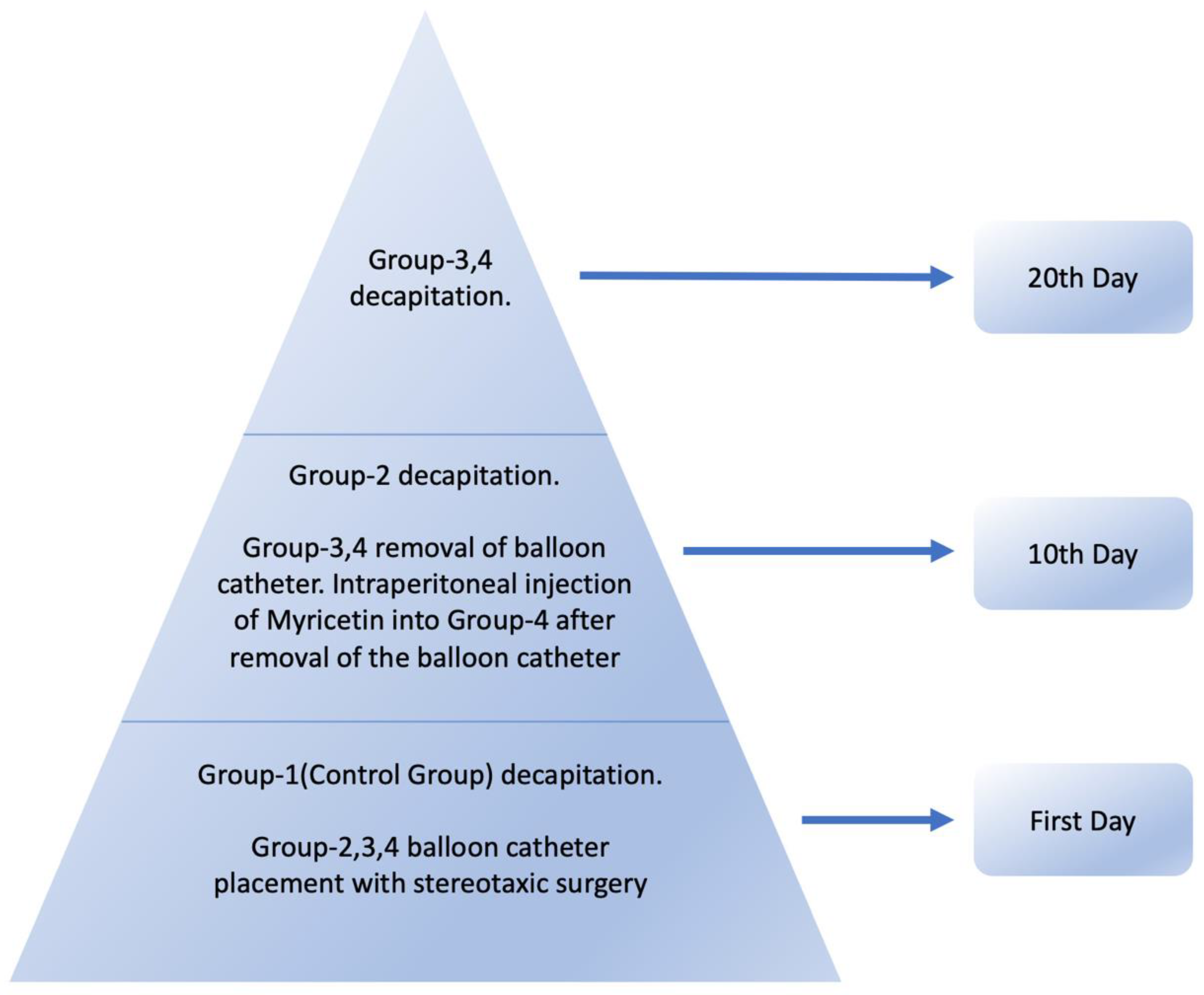 Preprints 169966 g003