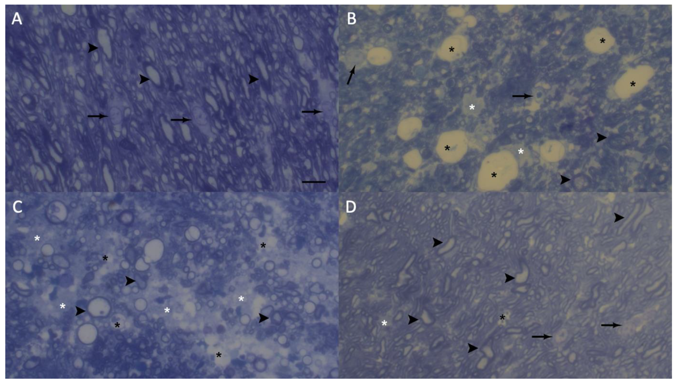 Preprints 169966 g007
