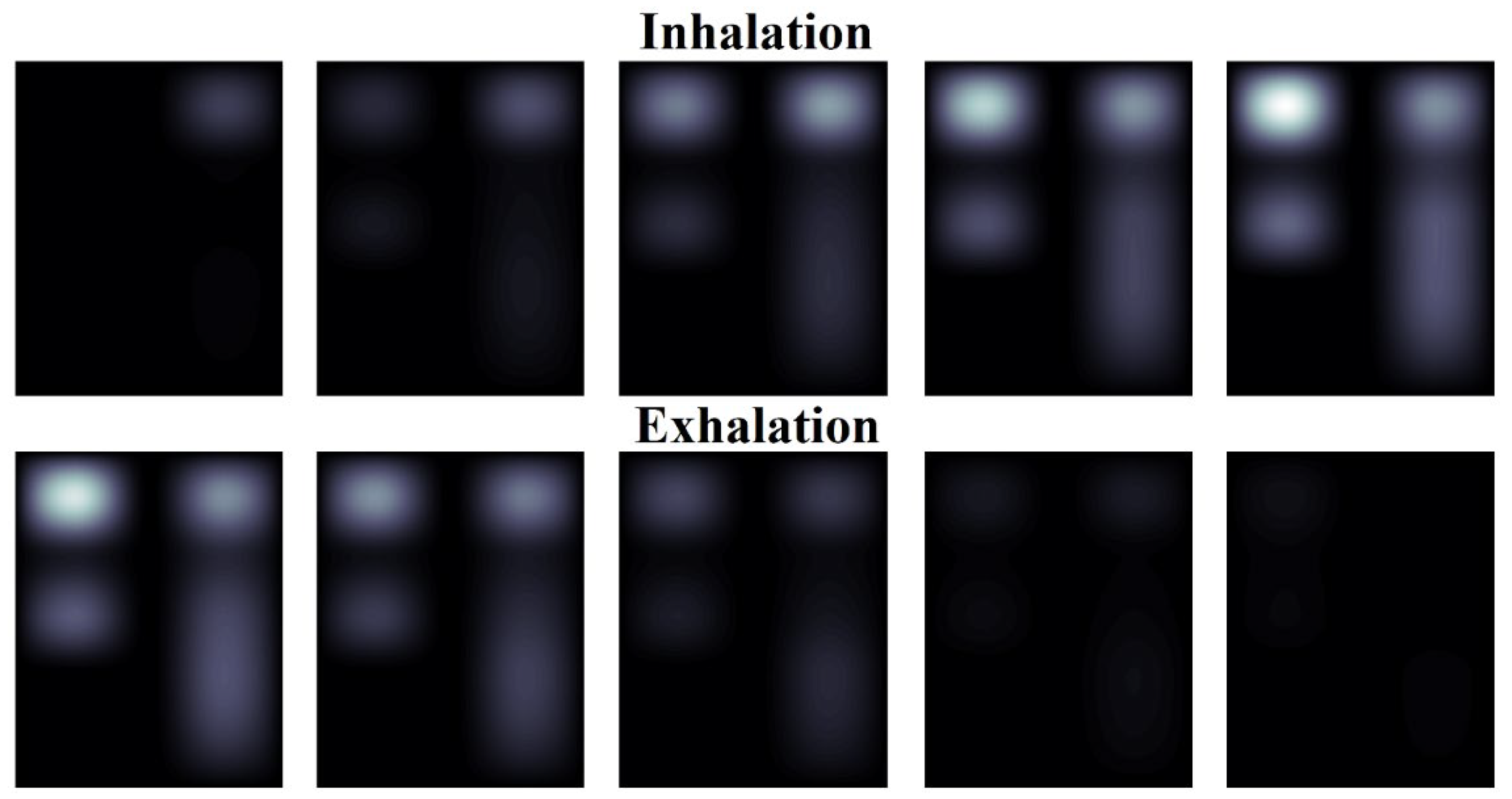 Preprints 118038 g012