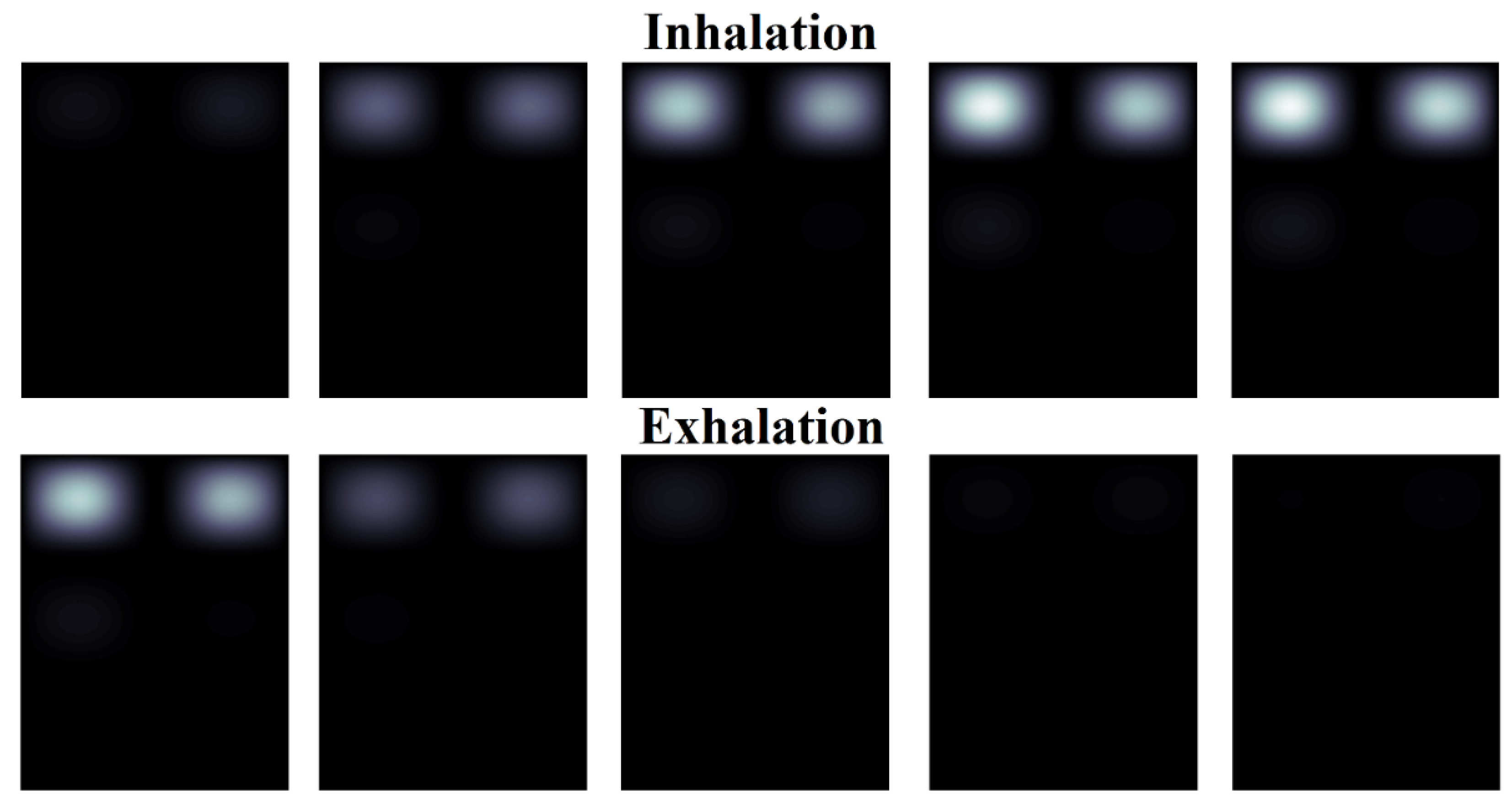 Preprints 118038 g013