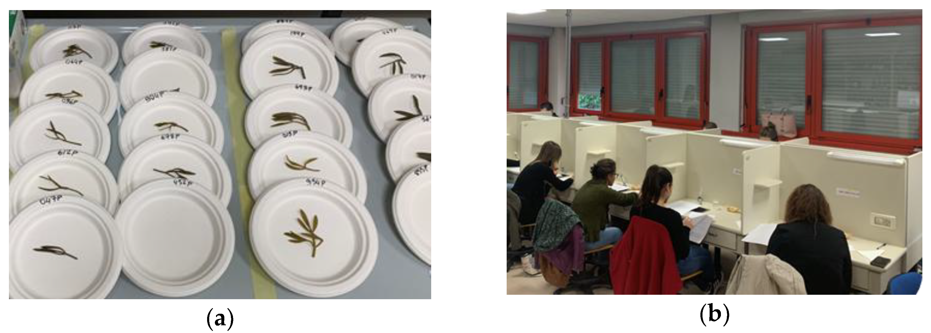 Preprints 147572 g002