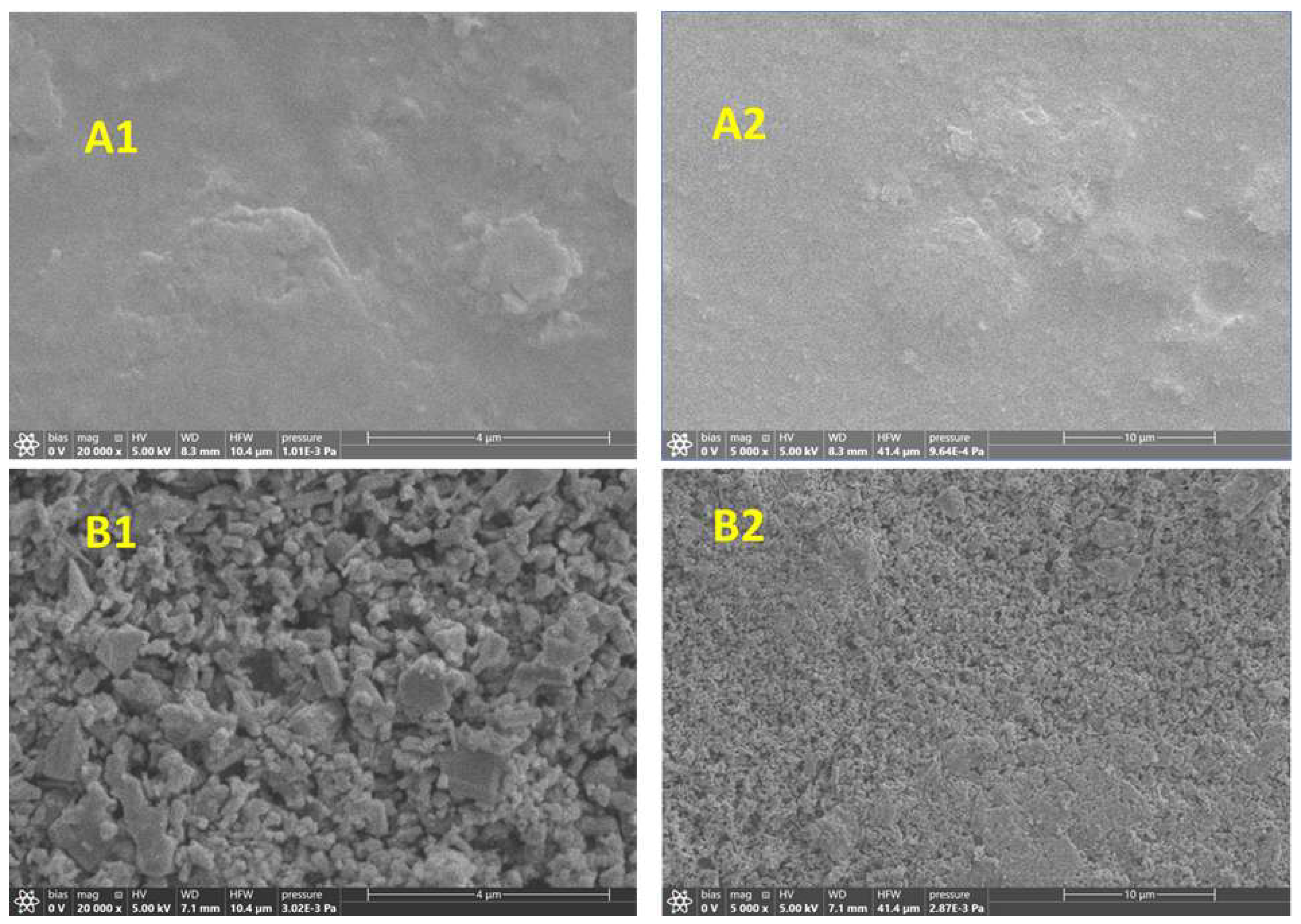 Preprints 175019 g001
